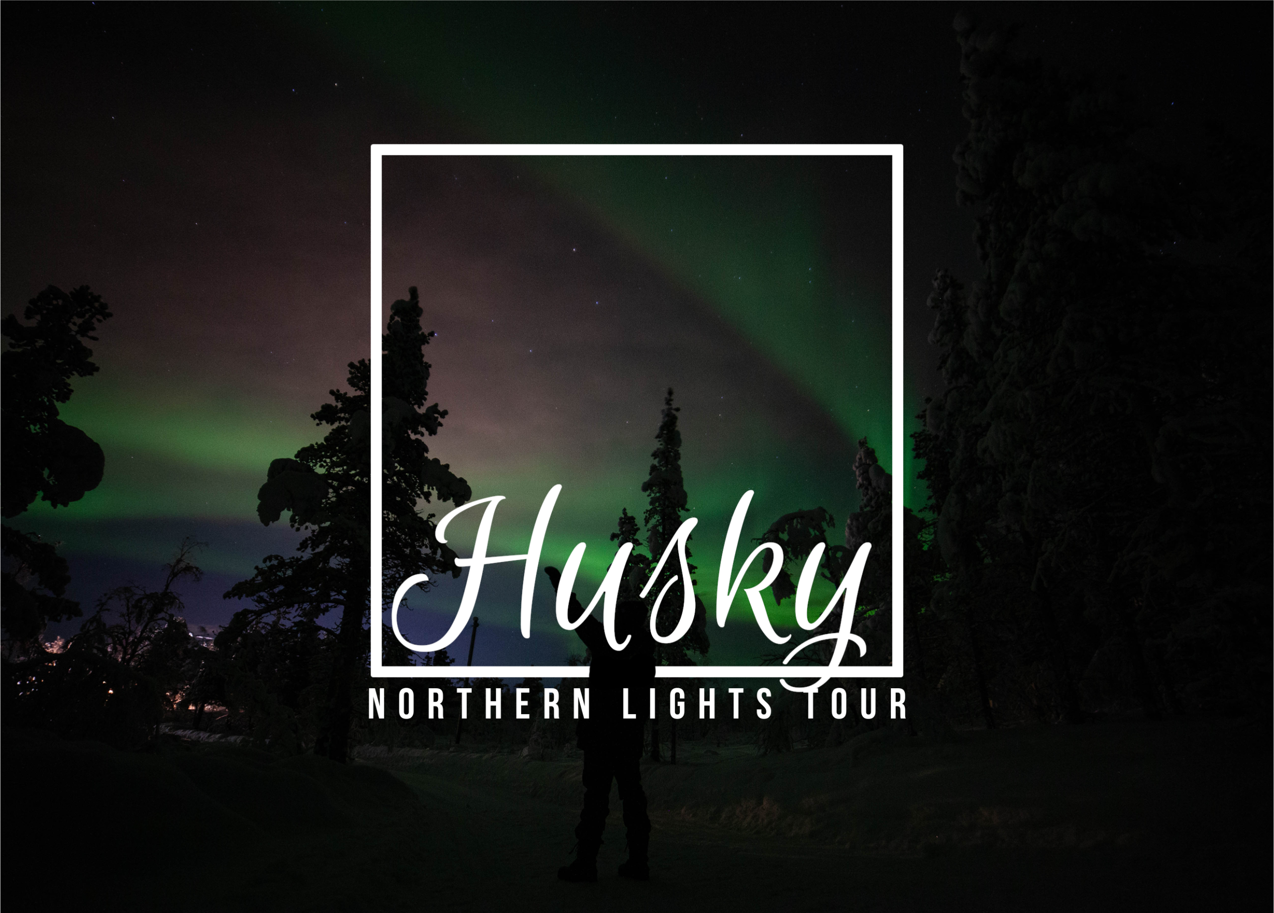 From Kiruna: Northern Lights Guided Husky Sledding Adventure – Kiruna, Sweden