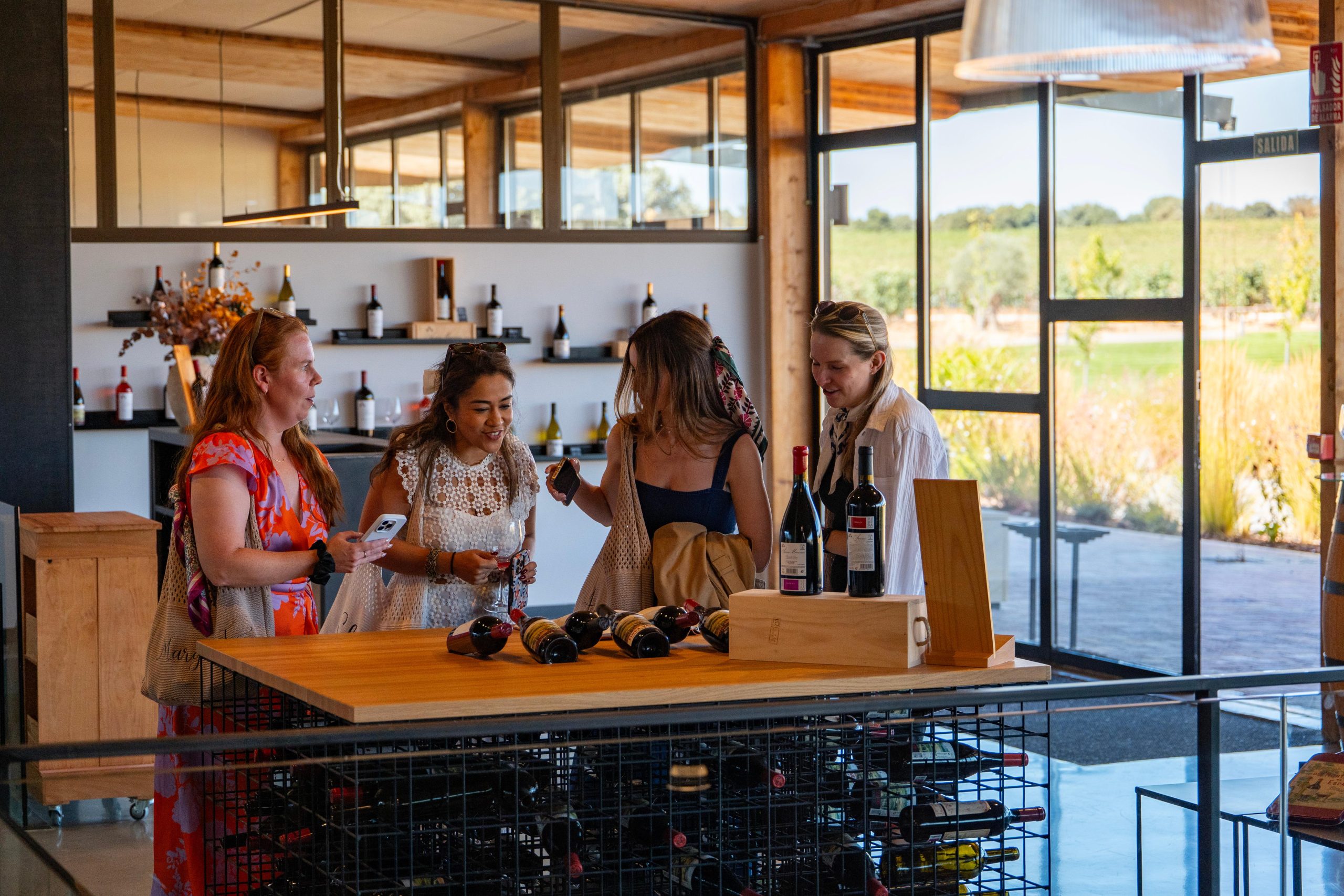 From Madrid: Ribera del Duero Tour of 3 Different Wineries – Madrid, Spain