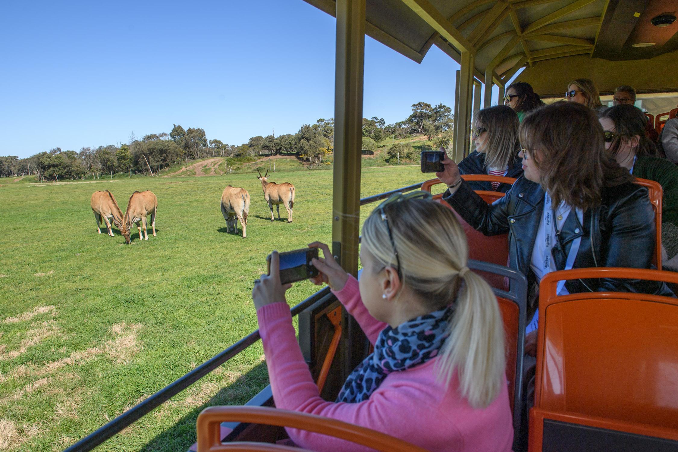 From Melbourne: Werribee Open Range Zoo & Werribee Mansion – Melbourne, Australia