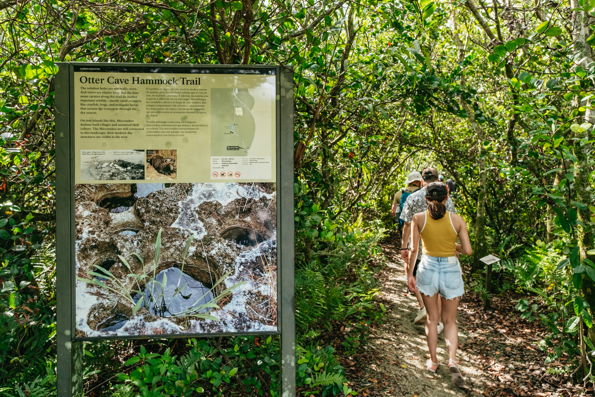 From Miami: Everglades Airboat Ride and Nature Walk – Miami, Florida