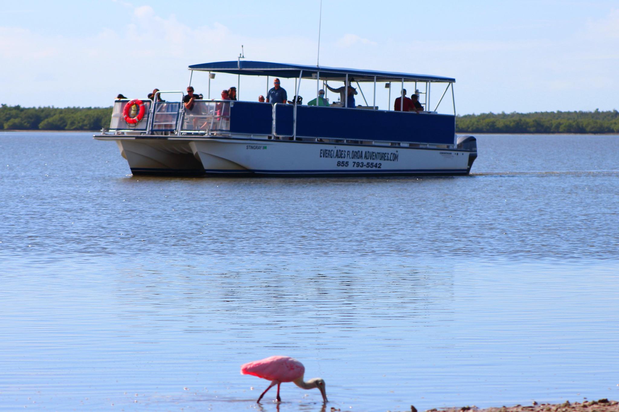 From Miami: Everglades Tour w/90 minute boat trip & 3 Hikes! – Flamingo, Florida