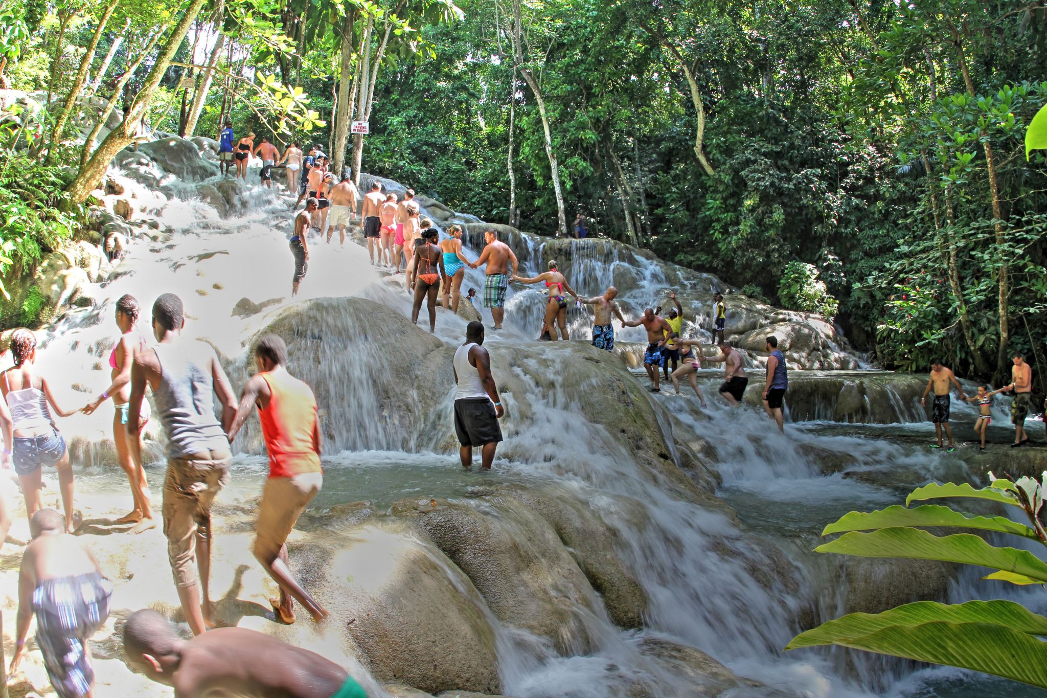 From Montego Bay: Dunn’s River Falls Experience – Dunns River Falls & Park, Jamaica