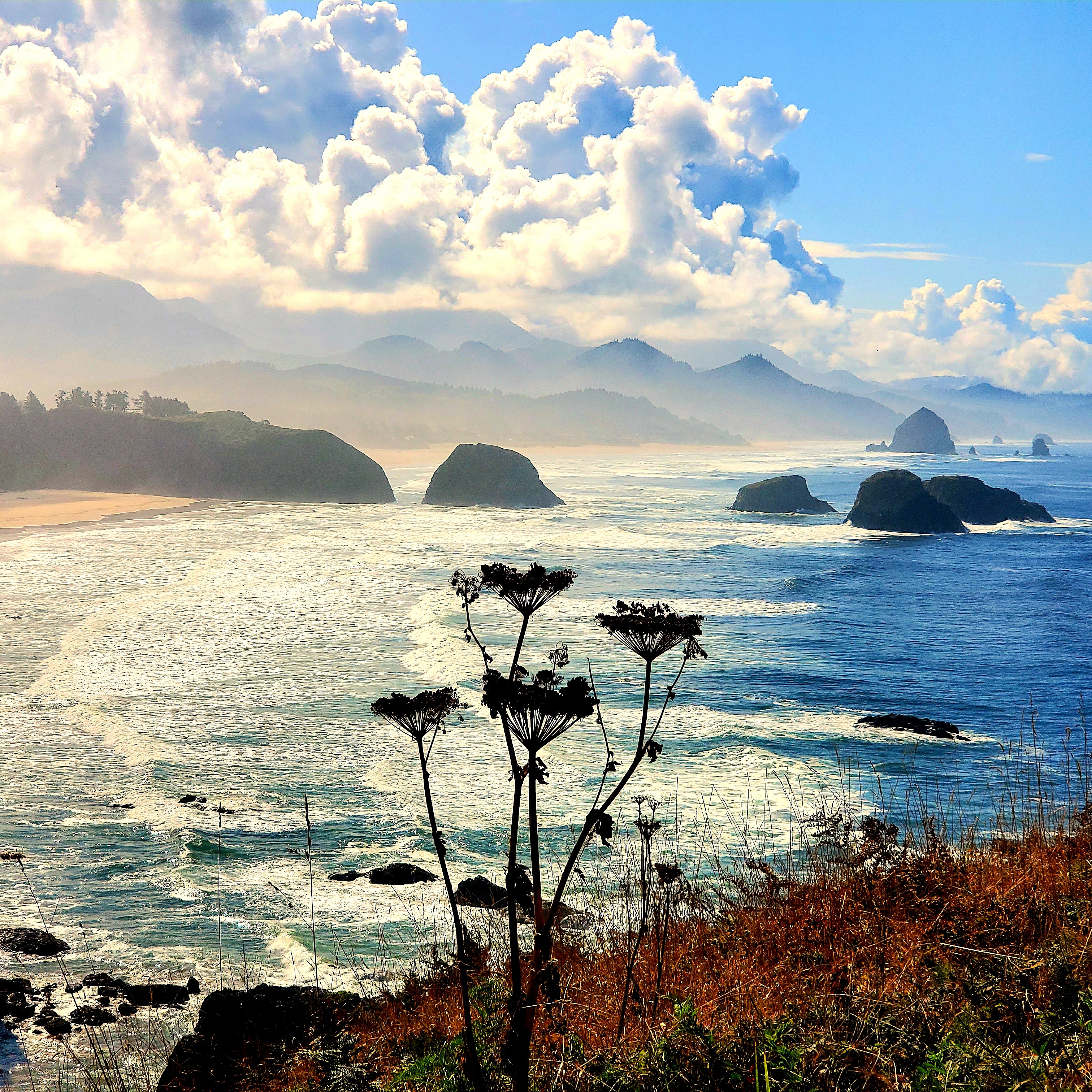From Portland: Oregon Coast Adventure Day Tour with Pickup – Cannon Beach, Oregon
