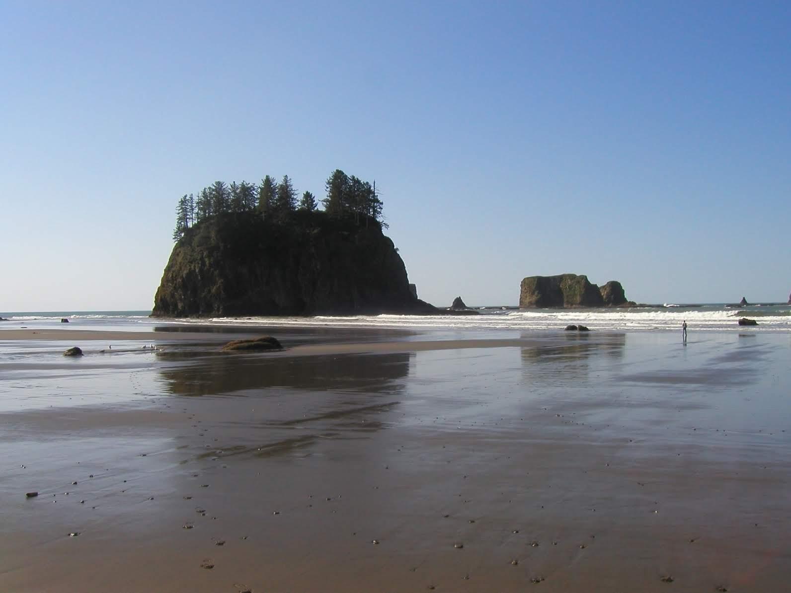From Portland: Oregon Coast Scenic Day Tour – Ecola State Park, Oregon
