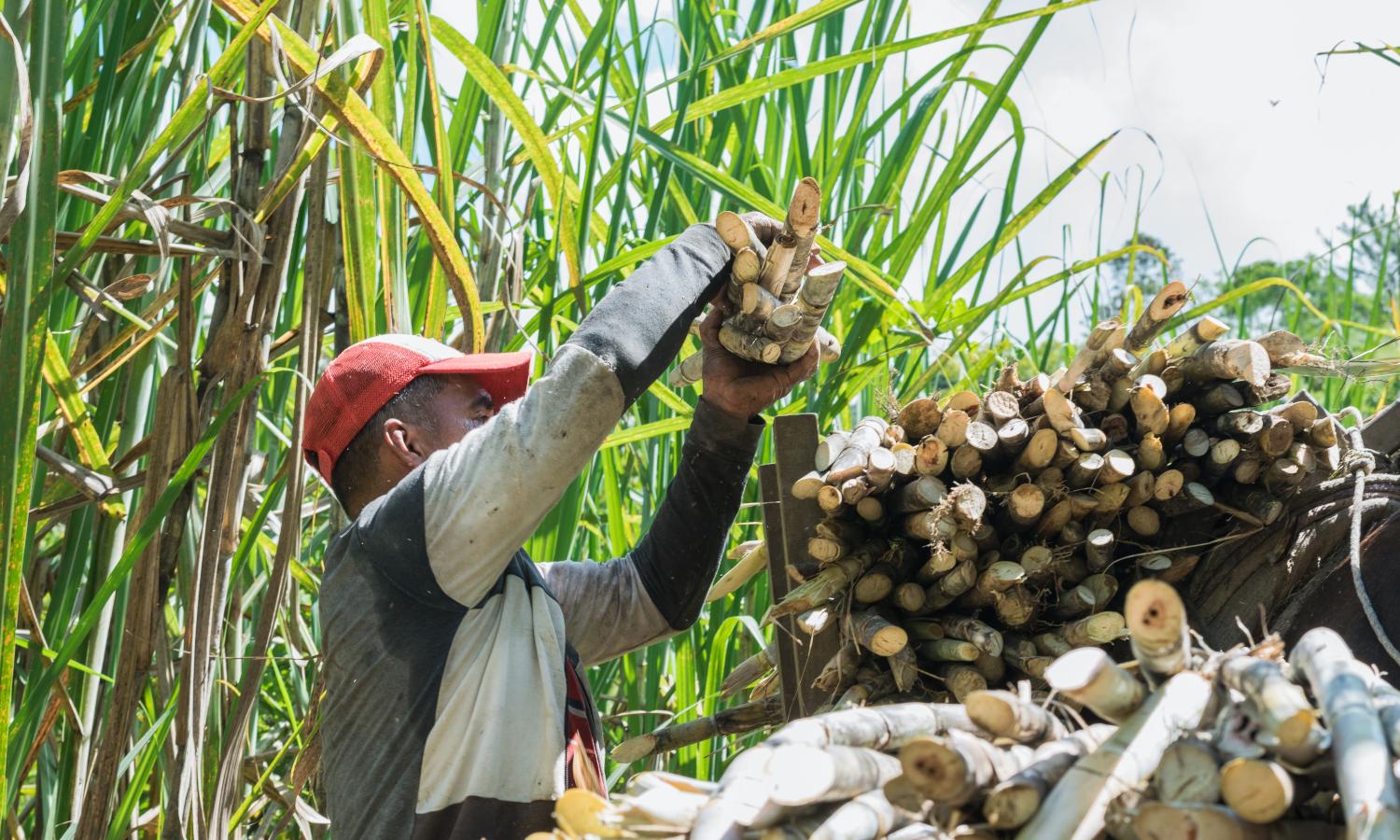 From Punta Cana: Higüey Cultural Tour with Beach Time – Punta Cana, Dominican Republic