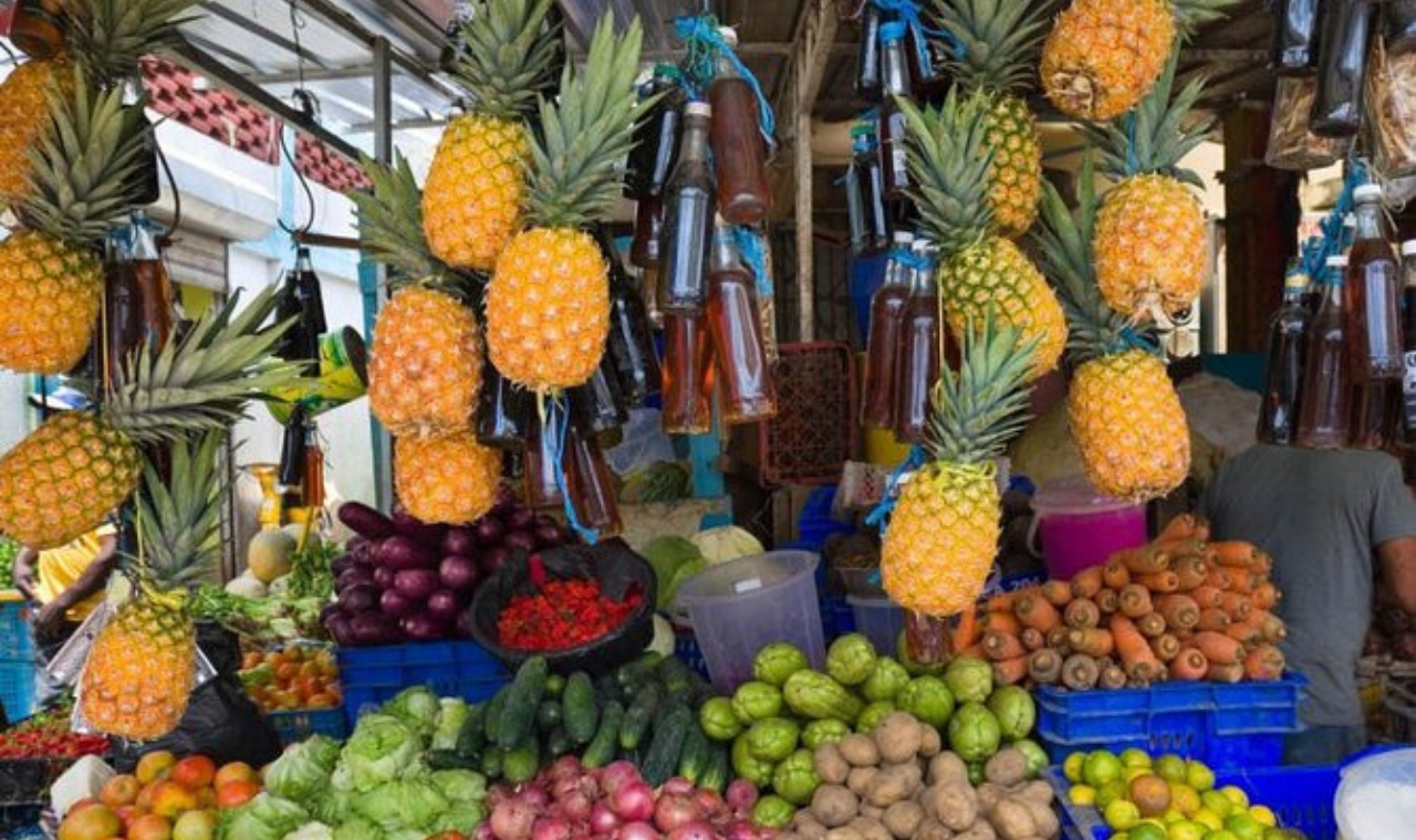 From Punta Cana: History and Culture Tour with River Swim – Punta Cana, Dominican Republic