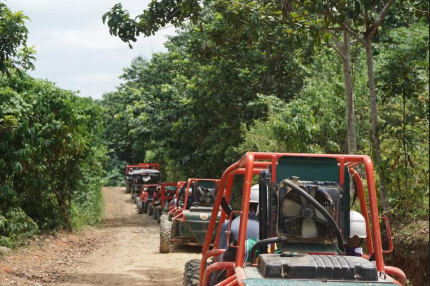 From Punta Cana or La Romana: Sugarcane Fields Buggy or Quad – Punta Cana, Dominican Republic