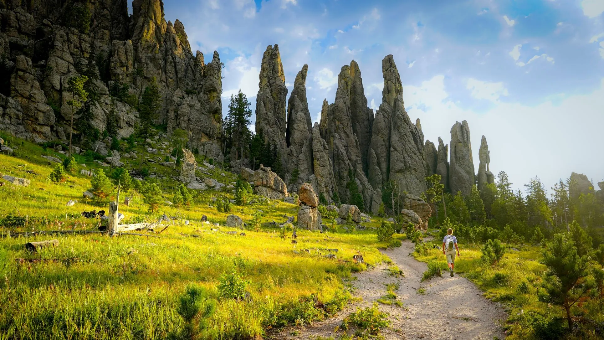 From Rapid City: Mt Rushmore-Crazy Horse-CSP Wildlife Loop – Custer, South Dakota