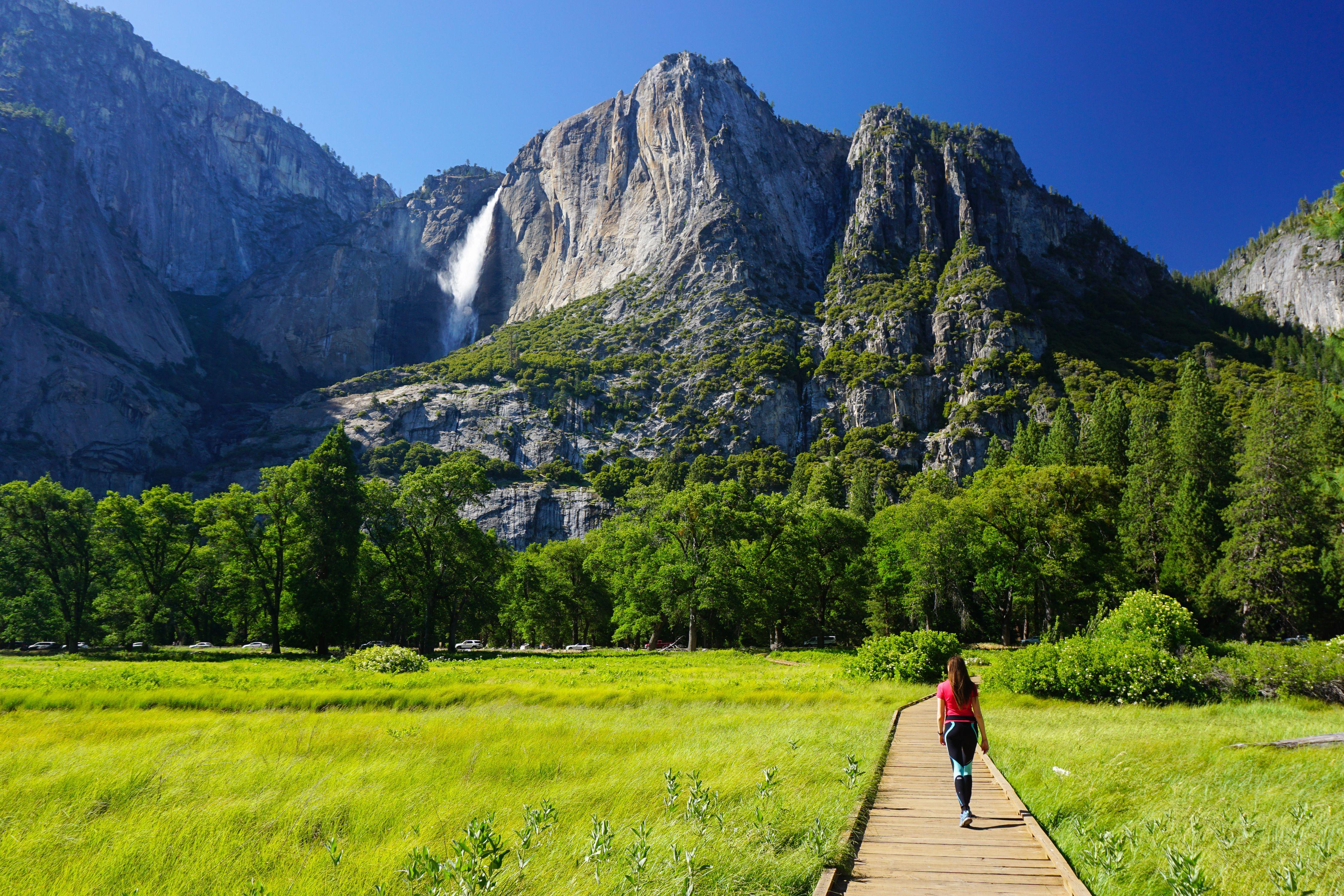From San Francisco: Day Trip to Yosemite National Park – San Francisco, California