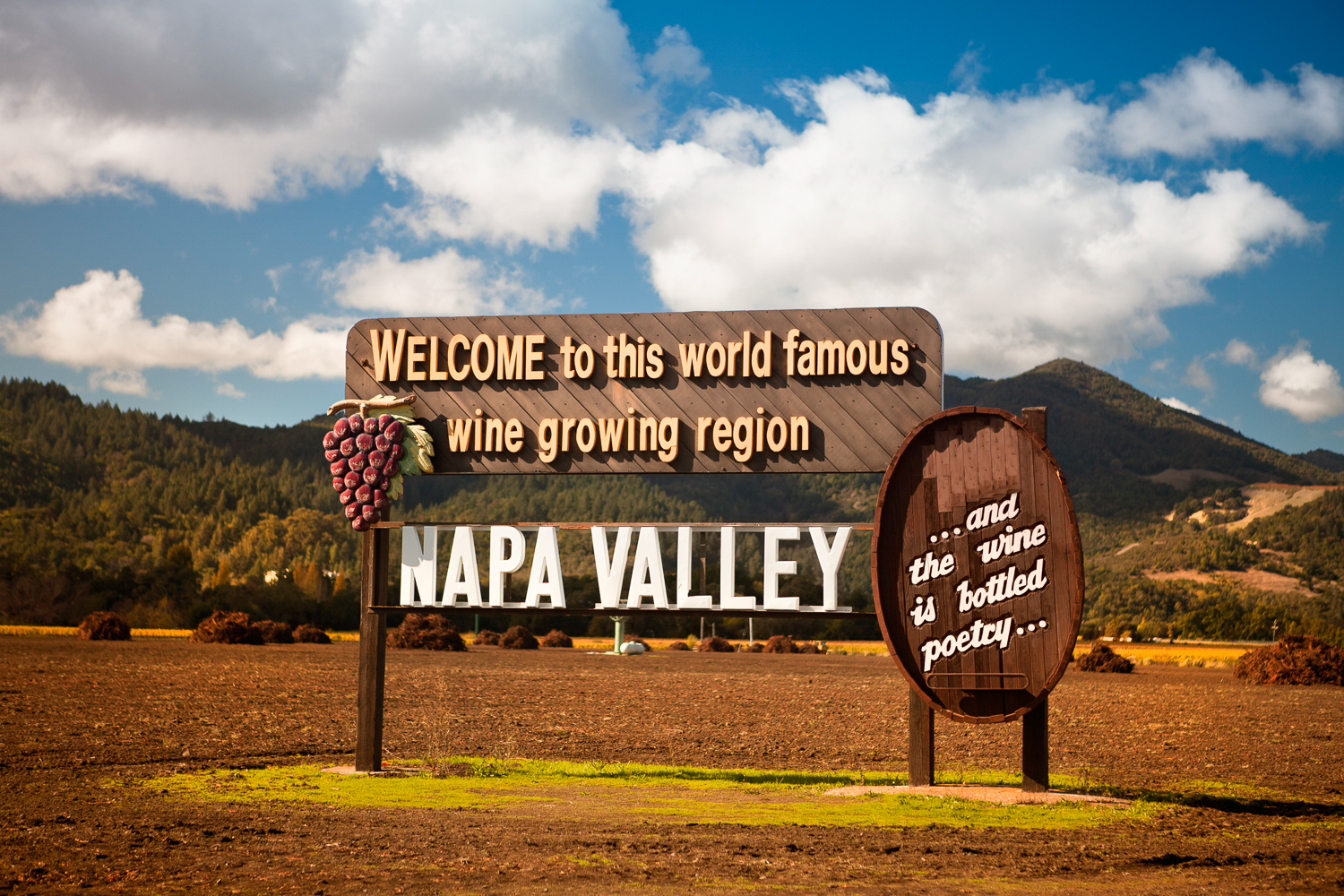 From San Francisco: Napa Valley Private Tour – Calistoga, California
