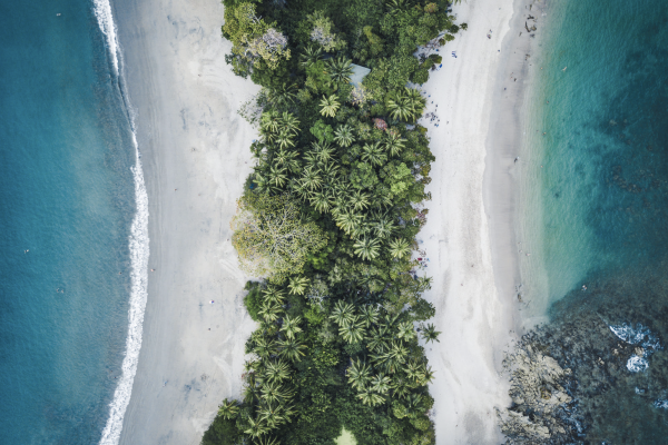 From San José: Full day Manuel Antonio National Park – San José, Costa Rica