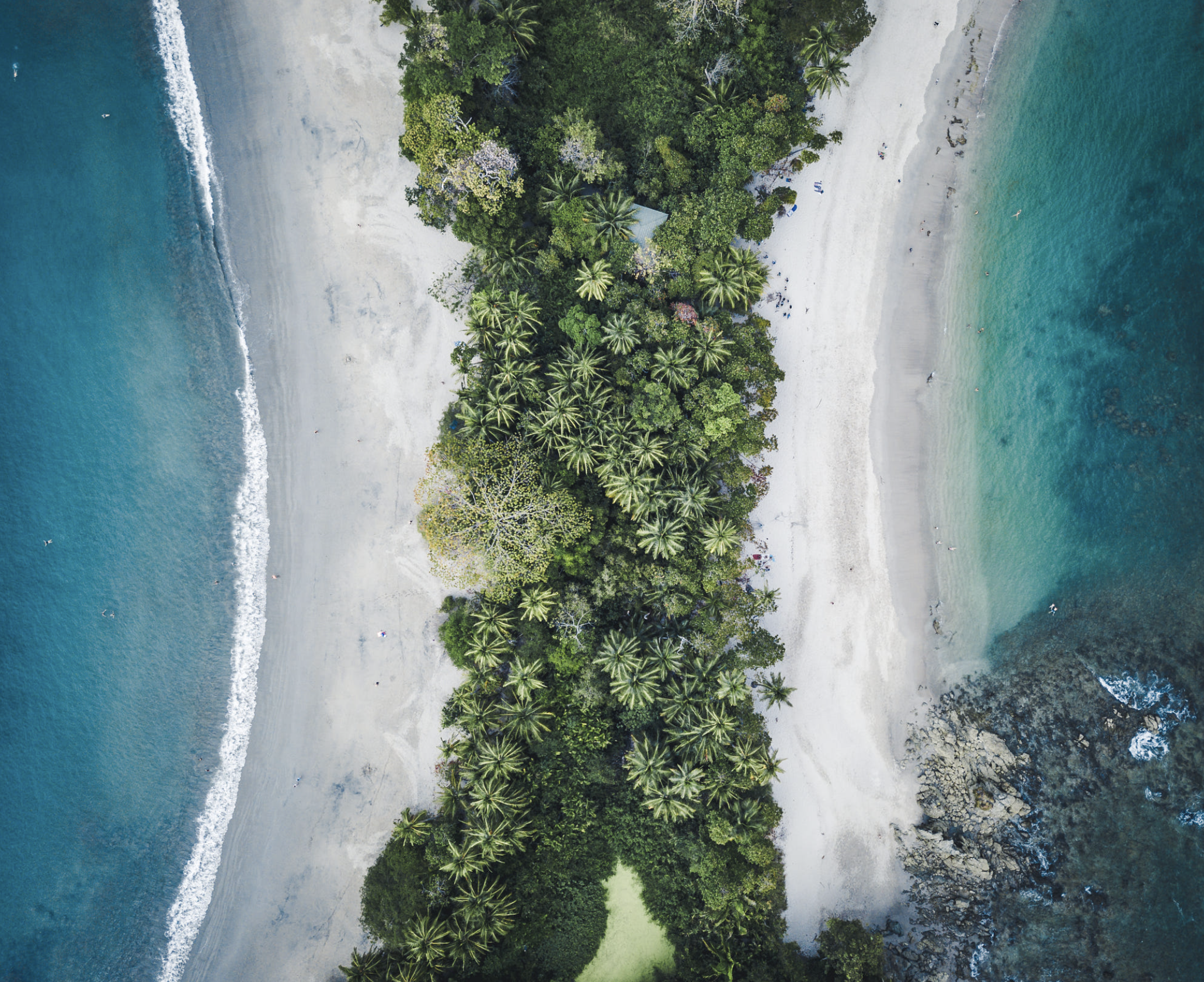 From San José: Full day Manuel Antonio National Park – San José, Costa Rica