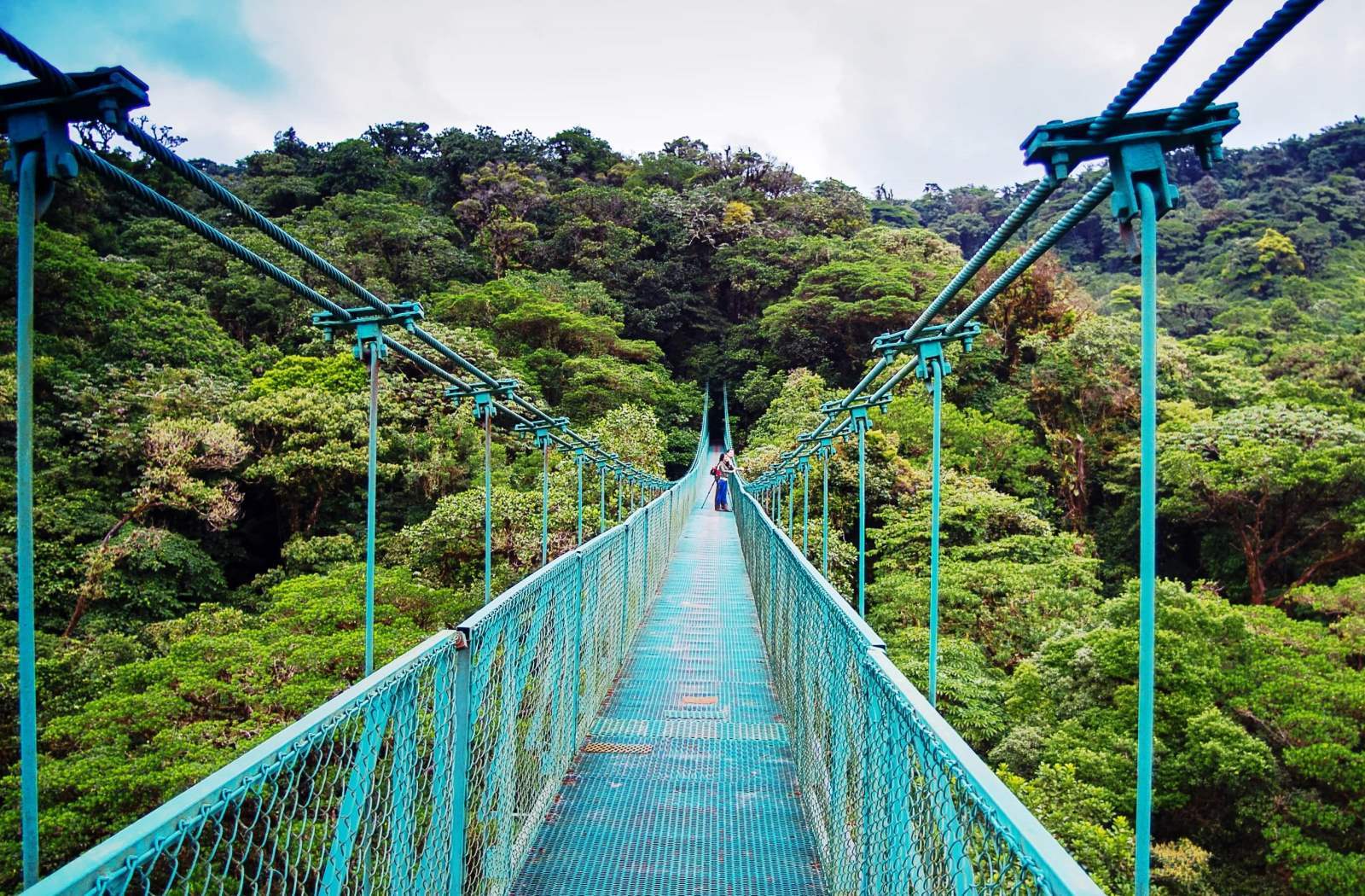 From San José: Monteverde Hanging Bridges Day Trip – San José, Costa Rica