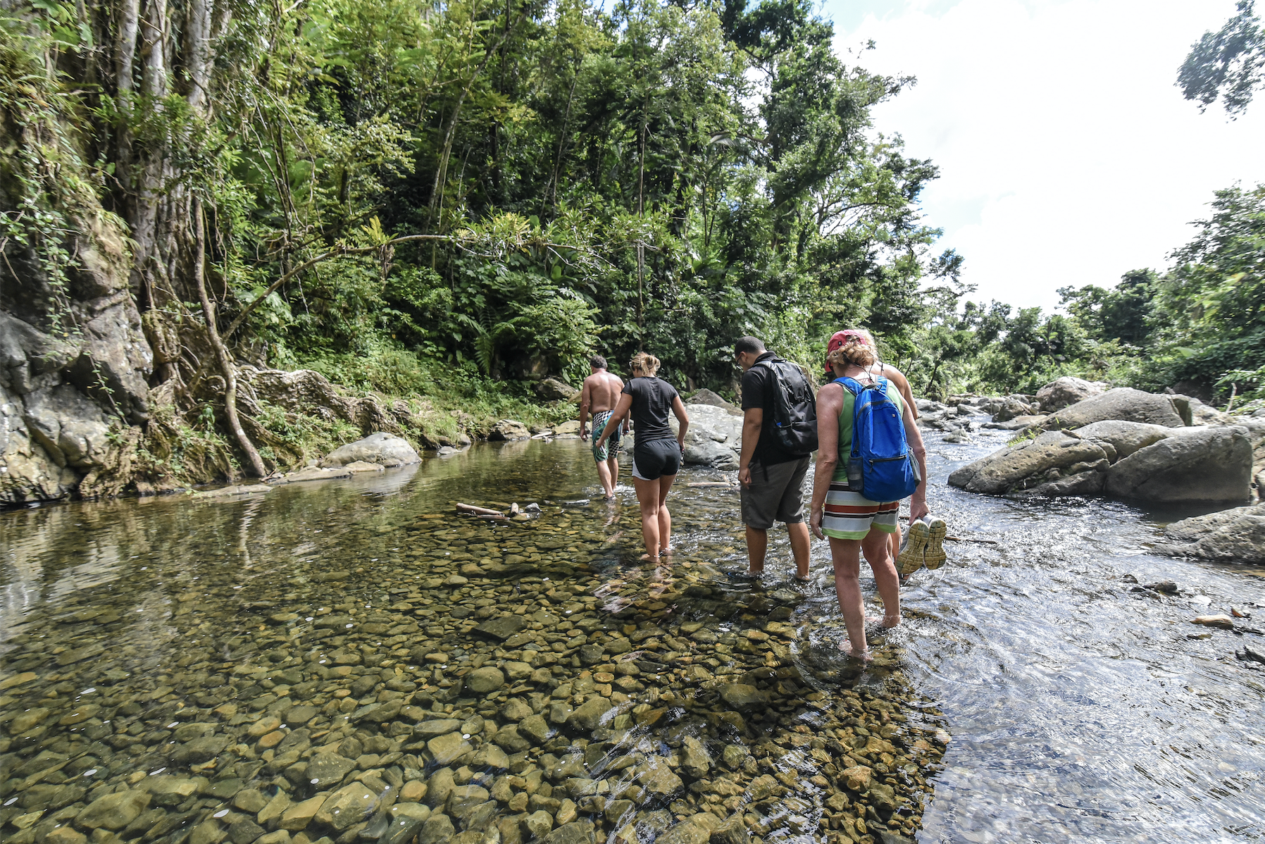 From San Juan: El Yunque Rainforest & Bio Bay Kayak Combo – Río Grande, Puerto Rico, Puerto Rico