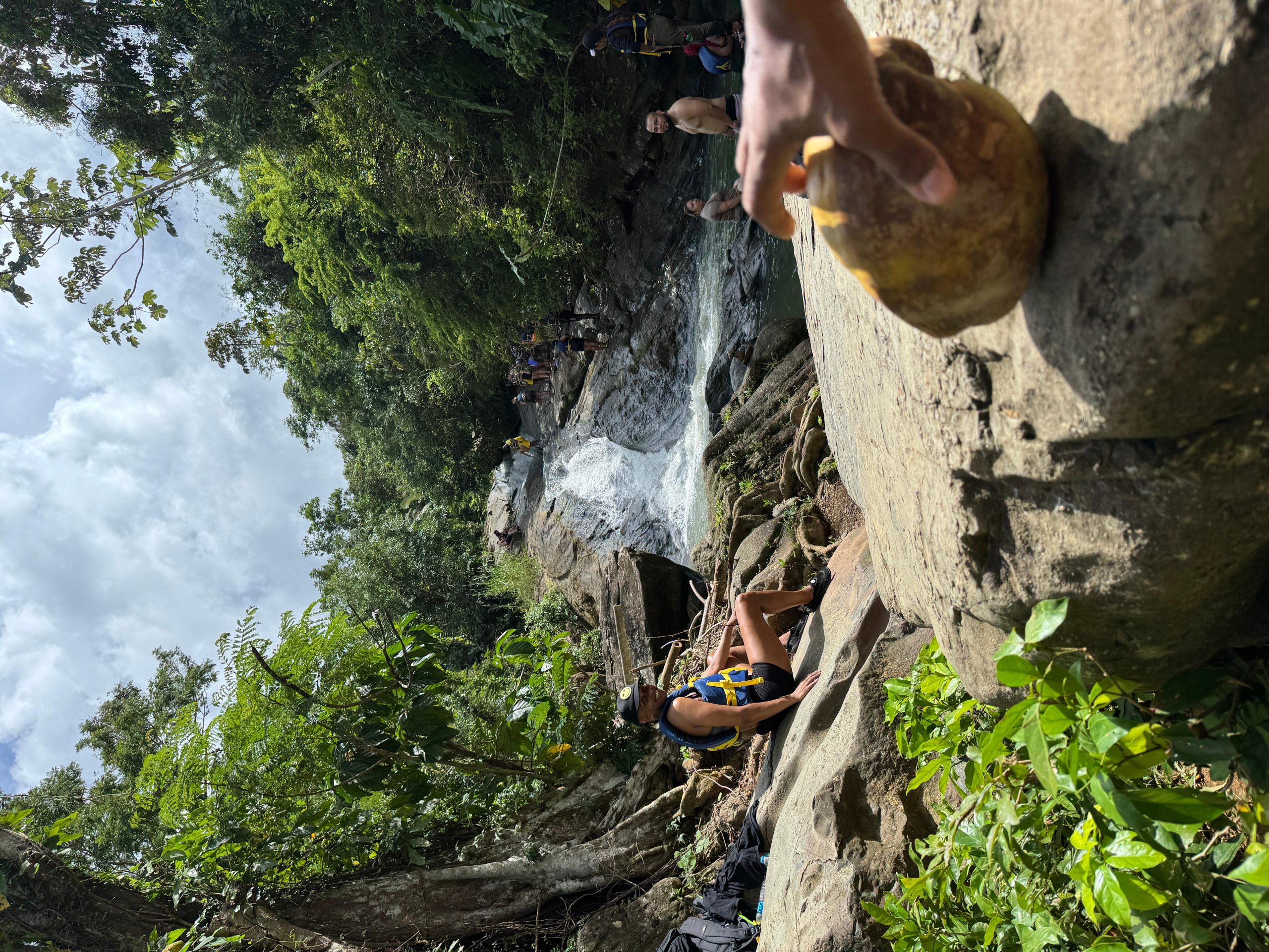 From San Juan: El Yunque Rainforest & Luquillo Beach Tour – San Juan, Puerto Rico