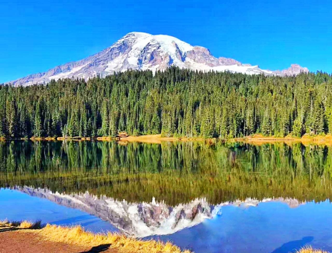 From Seattle: Mount Rainier Guided Day Tour – Mount Rainier National Park, Washington
