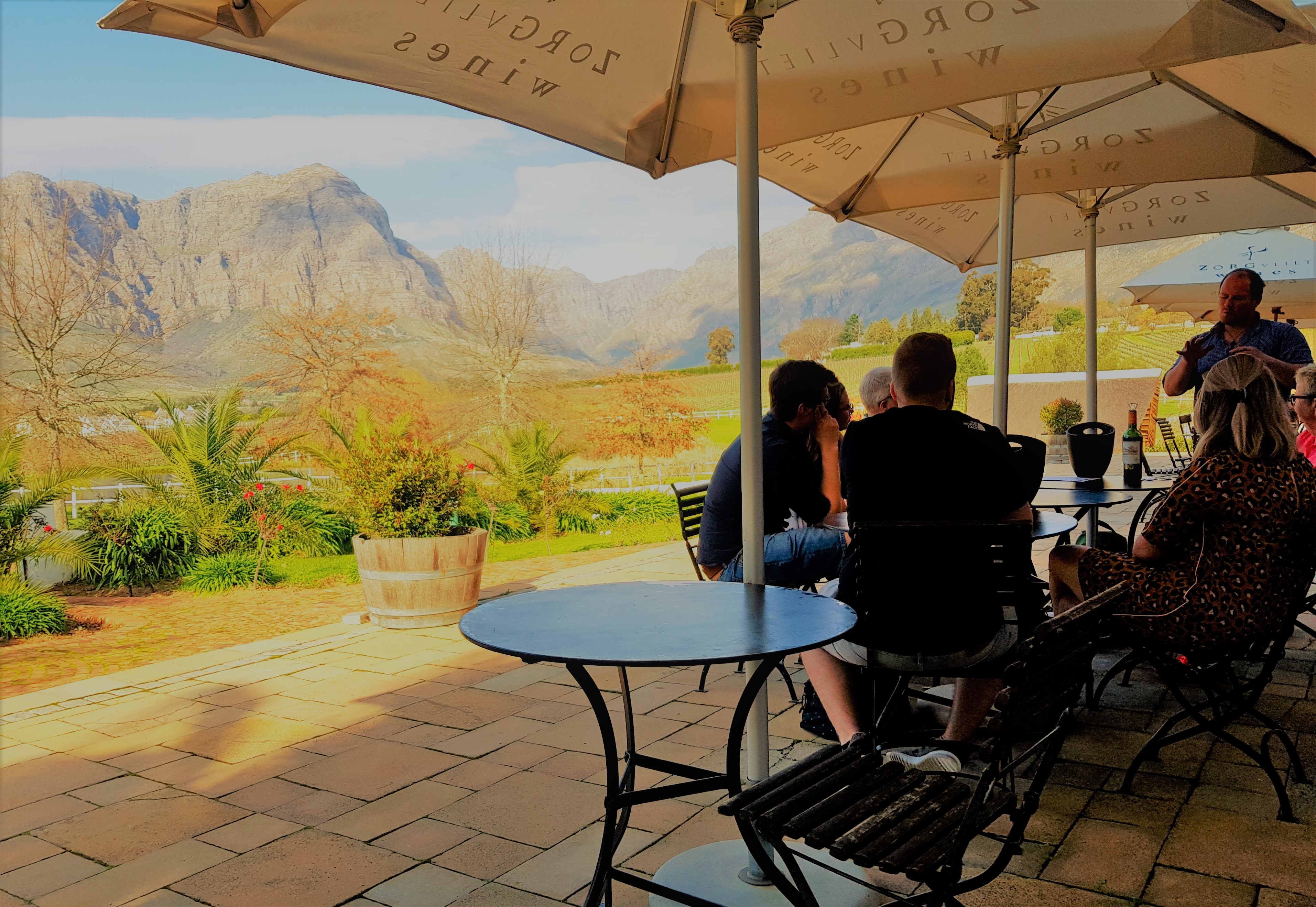 From Stellenbosch: Hop-On Hop-Off Wine Tour Southern Route – Stellenbosch, South Africa