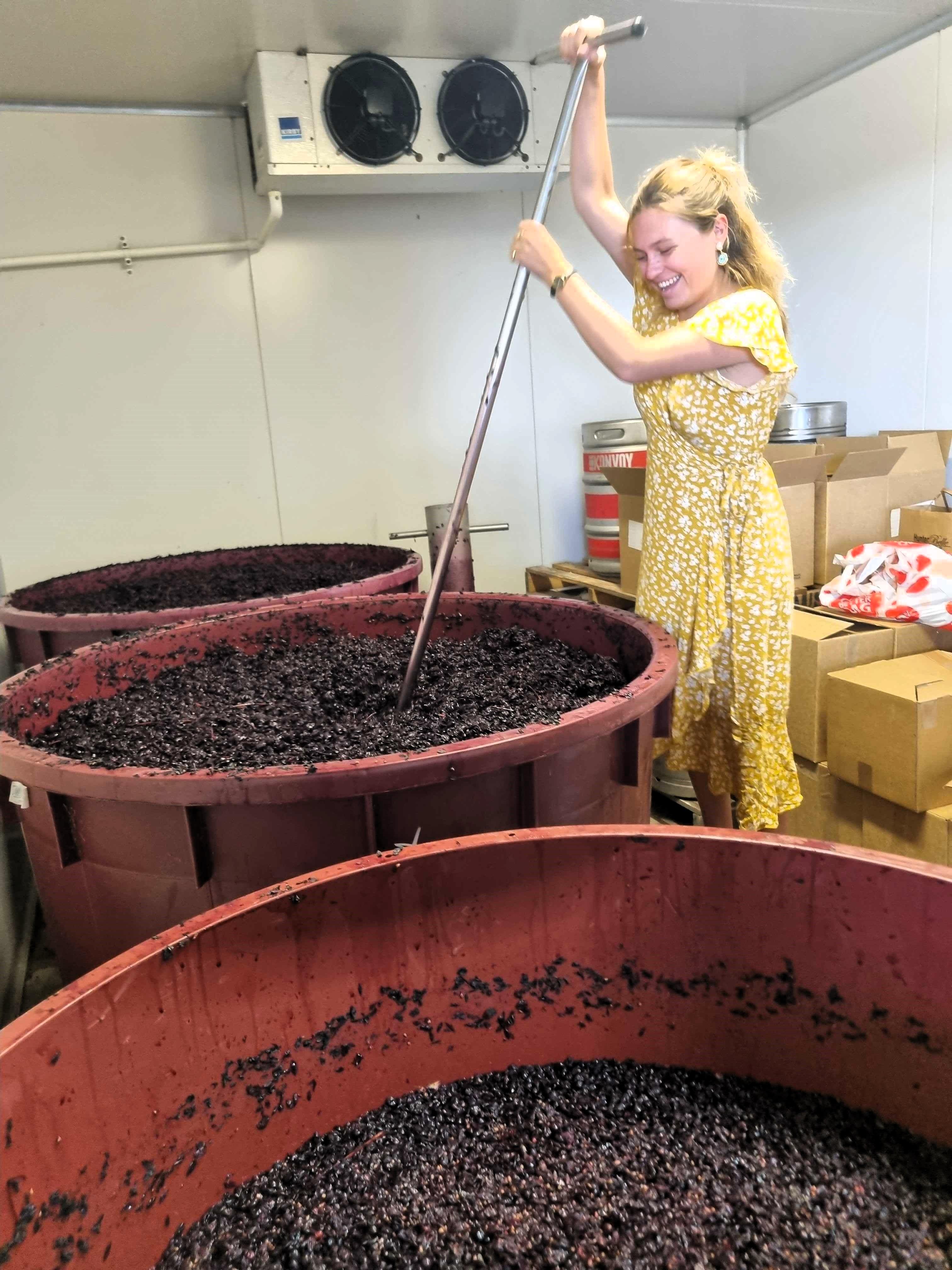 From Sydney: Hunter Valley Wine, Gin & Food Tastings Tour – Sydney, Australia