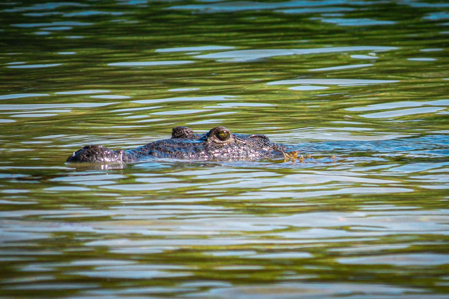 From Tulum: Sian Kaan Boat Trip Adventure with Lunch – Tulum, Mexico