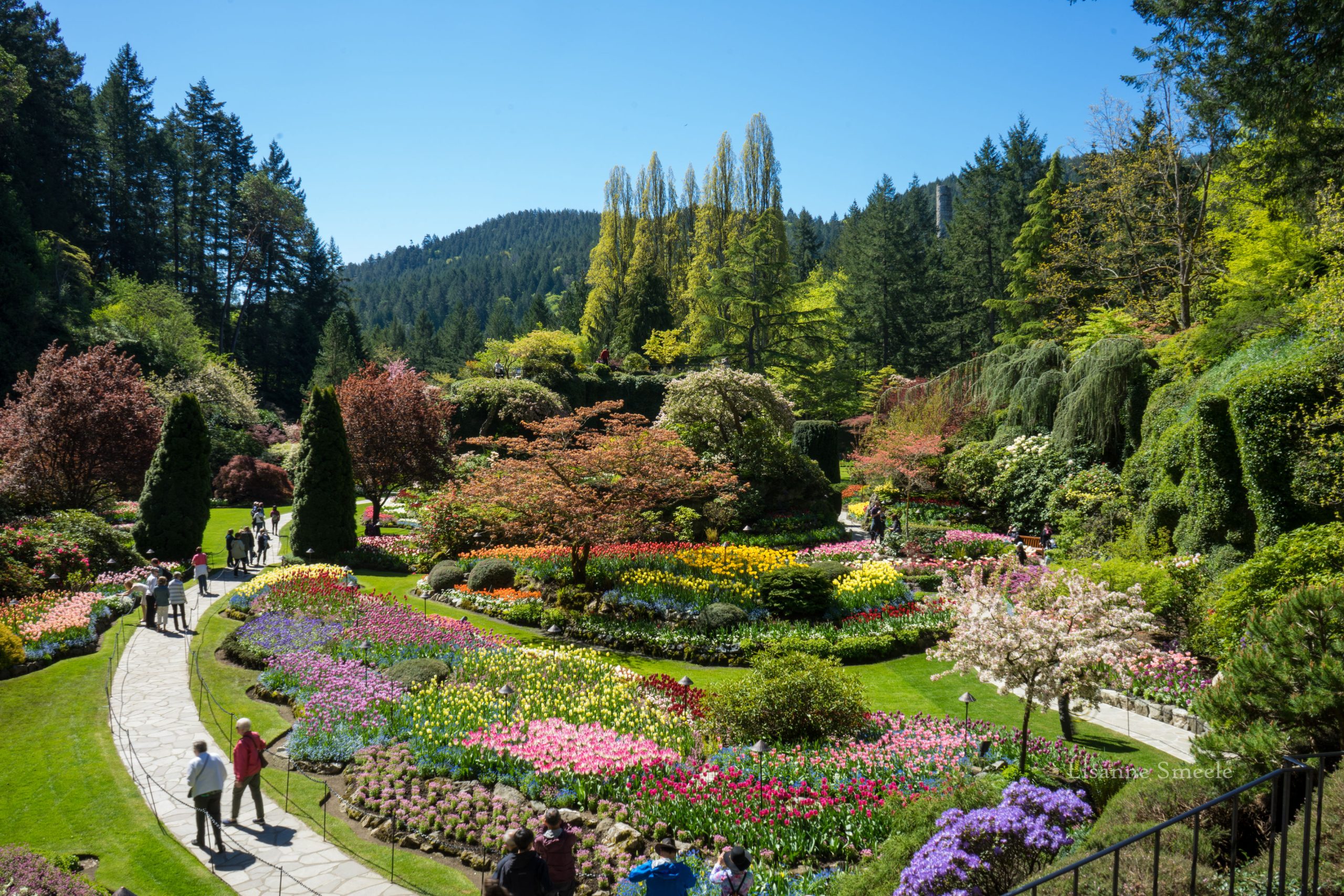 From Vancouver: Butchart Gardens & Victoria Sightseeing Tour – Brentwood Bay, Canada