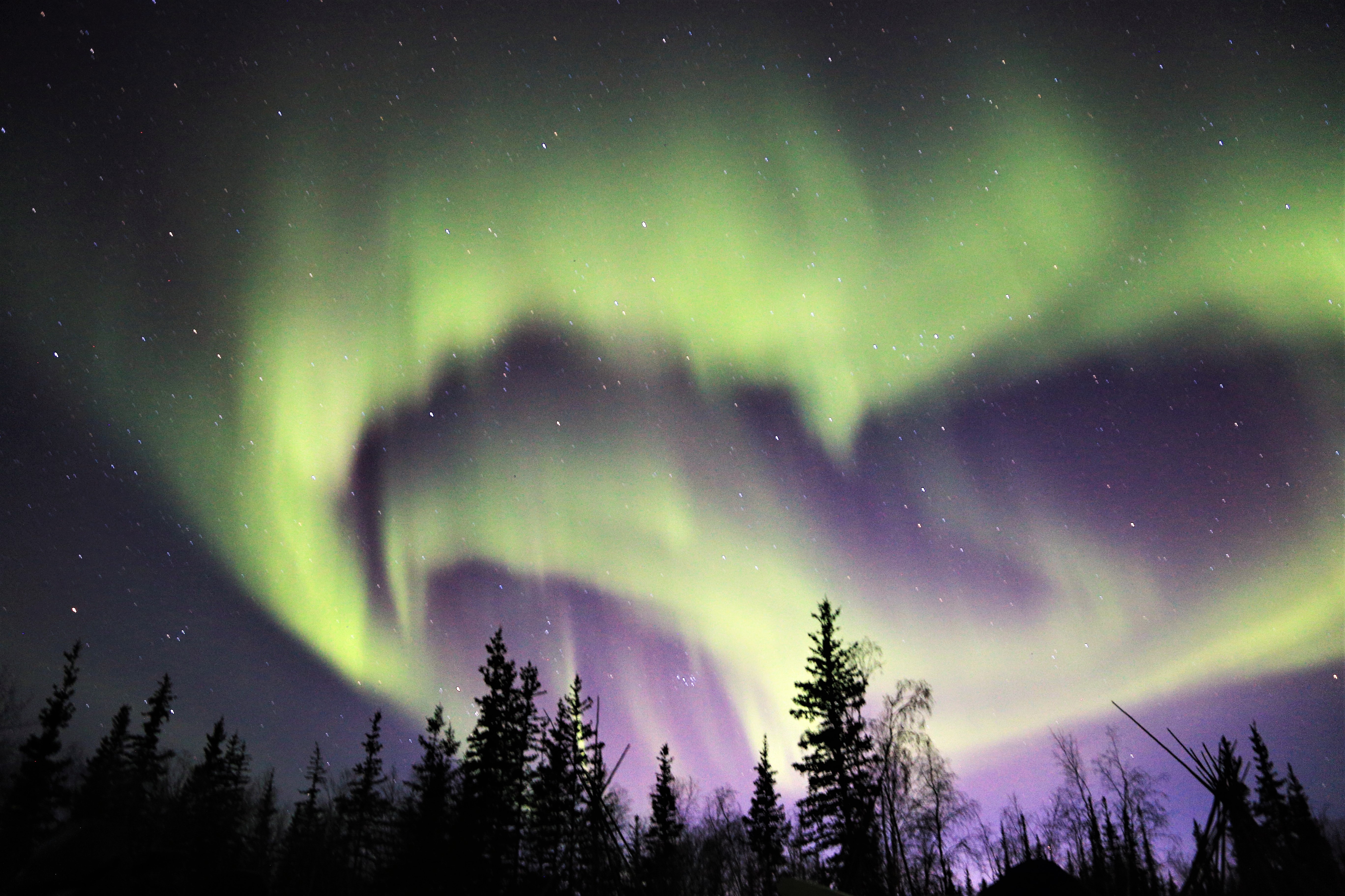 From Yellowknife: Northern Lights Bus Tour with Photos – Yellowknife, Canada