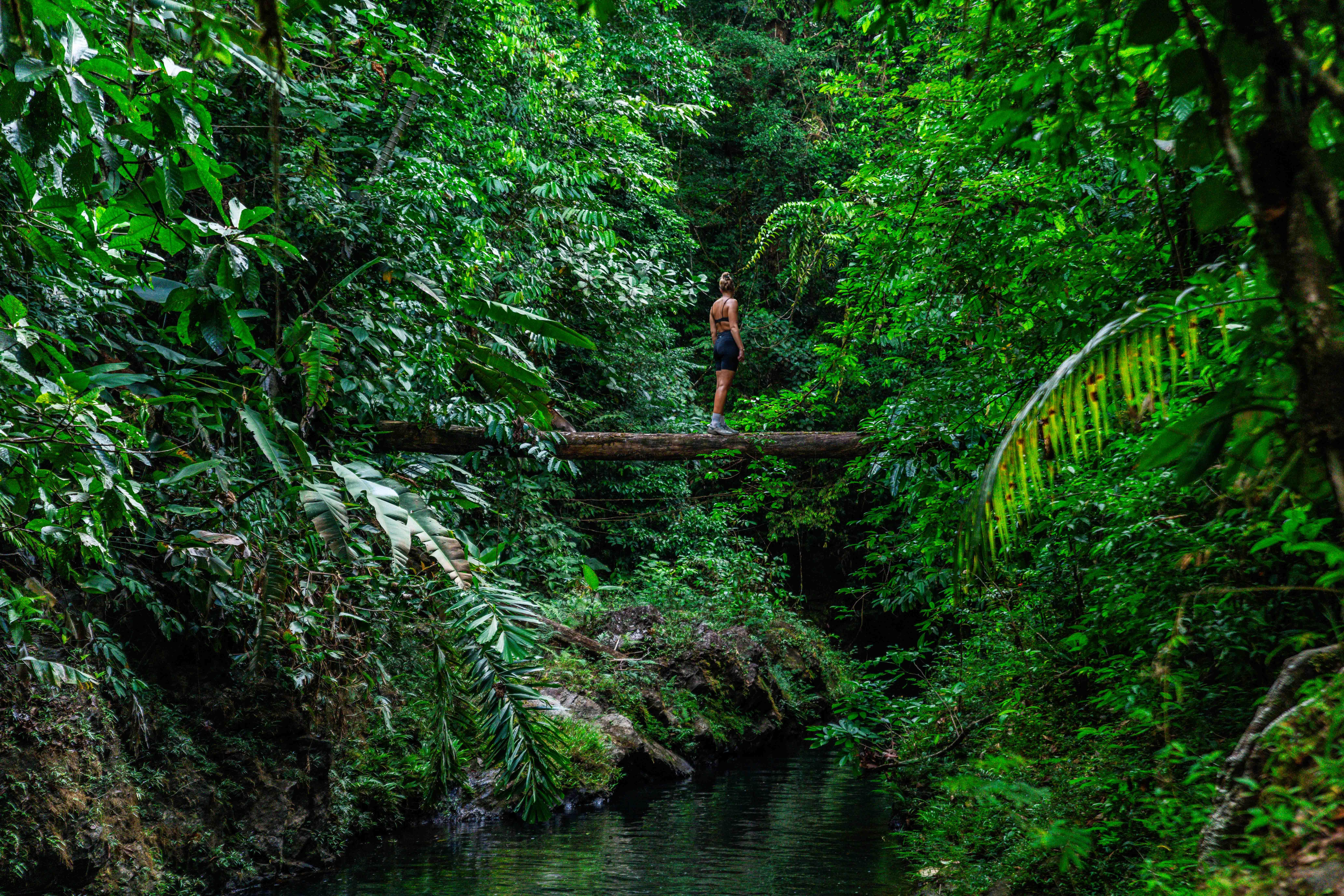 Full Day Adventure Corcovado – Puntarenas, Costa Rica