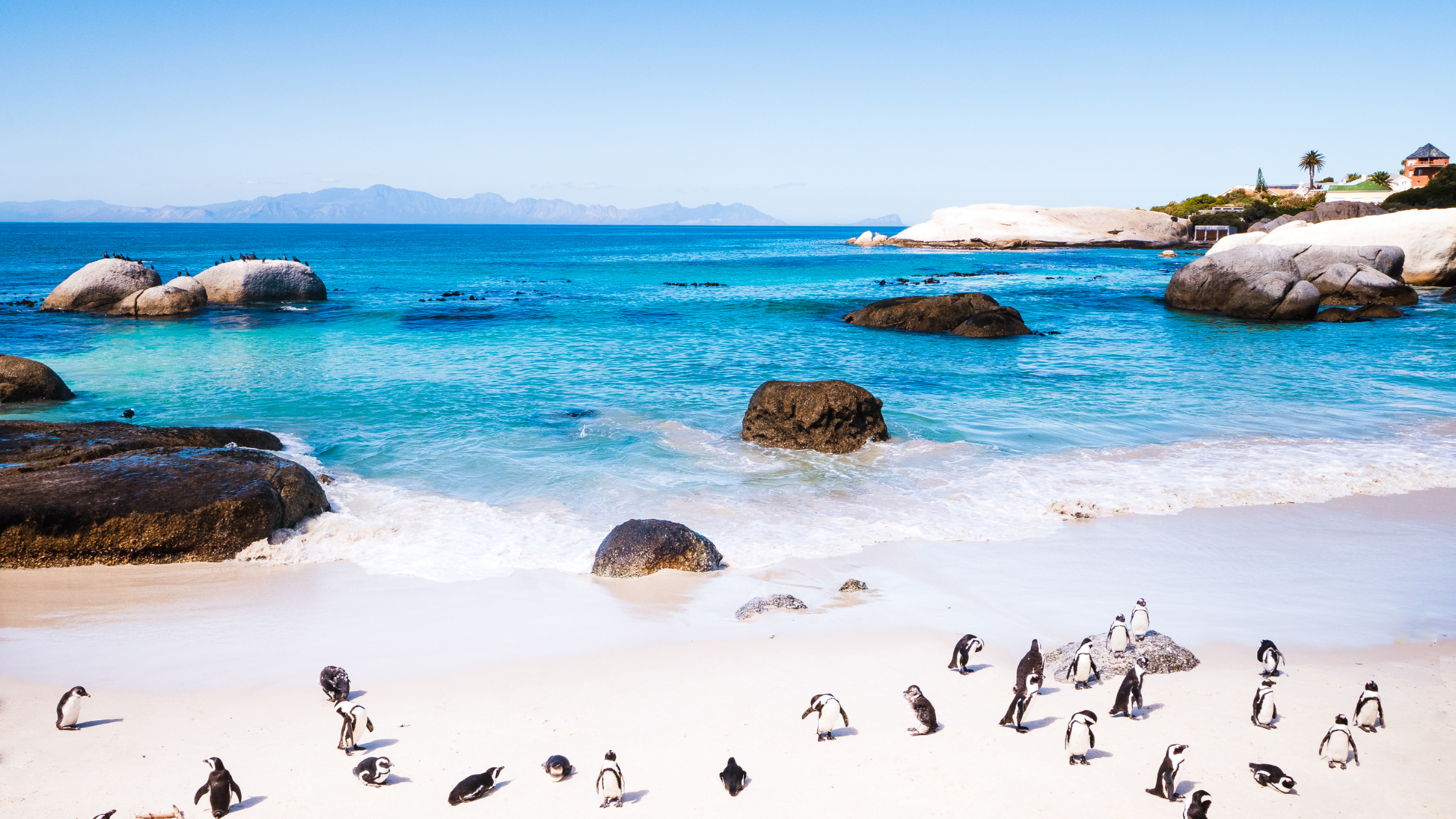 Full Day Cape Peninsula Tour – Cape Town, South Africa