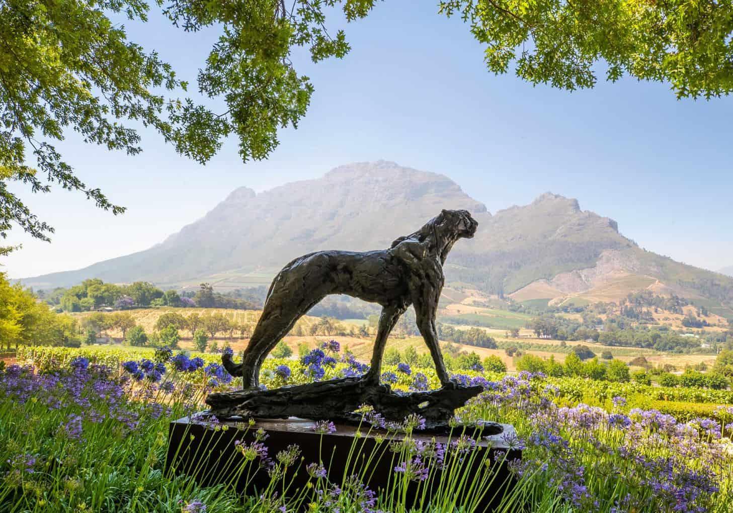 Full Day Winelands Tour With Wine Tasting from Cape Town – Cape Town, South Africa
