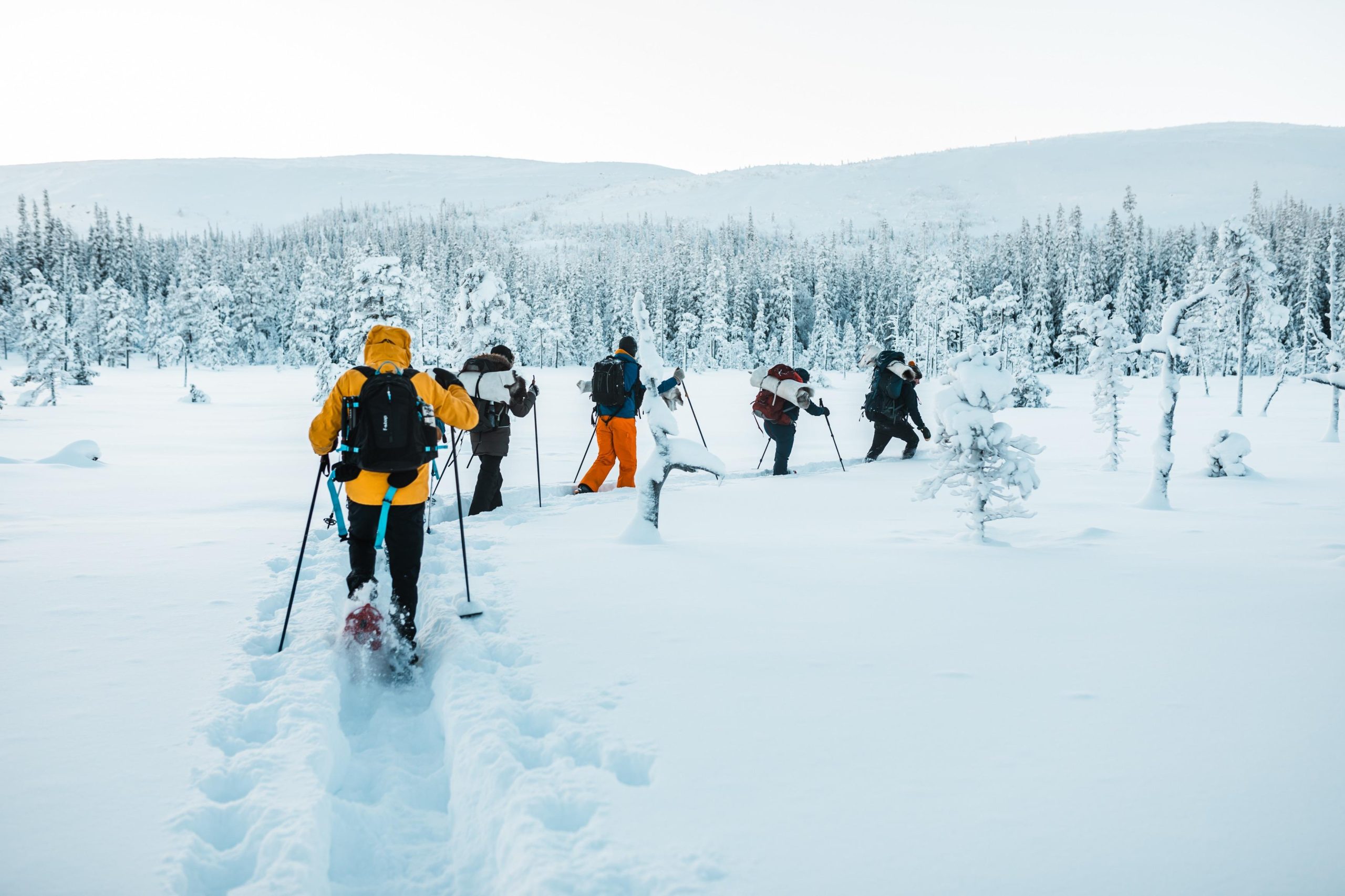 Fulufjället National Park – Guided Hike with outdoor cocking – Fulufjället National Park, Sweden