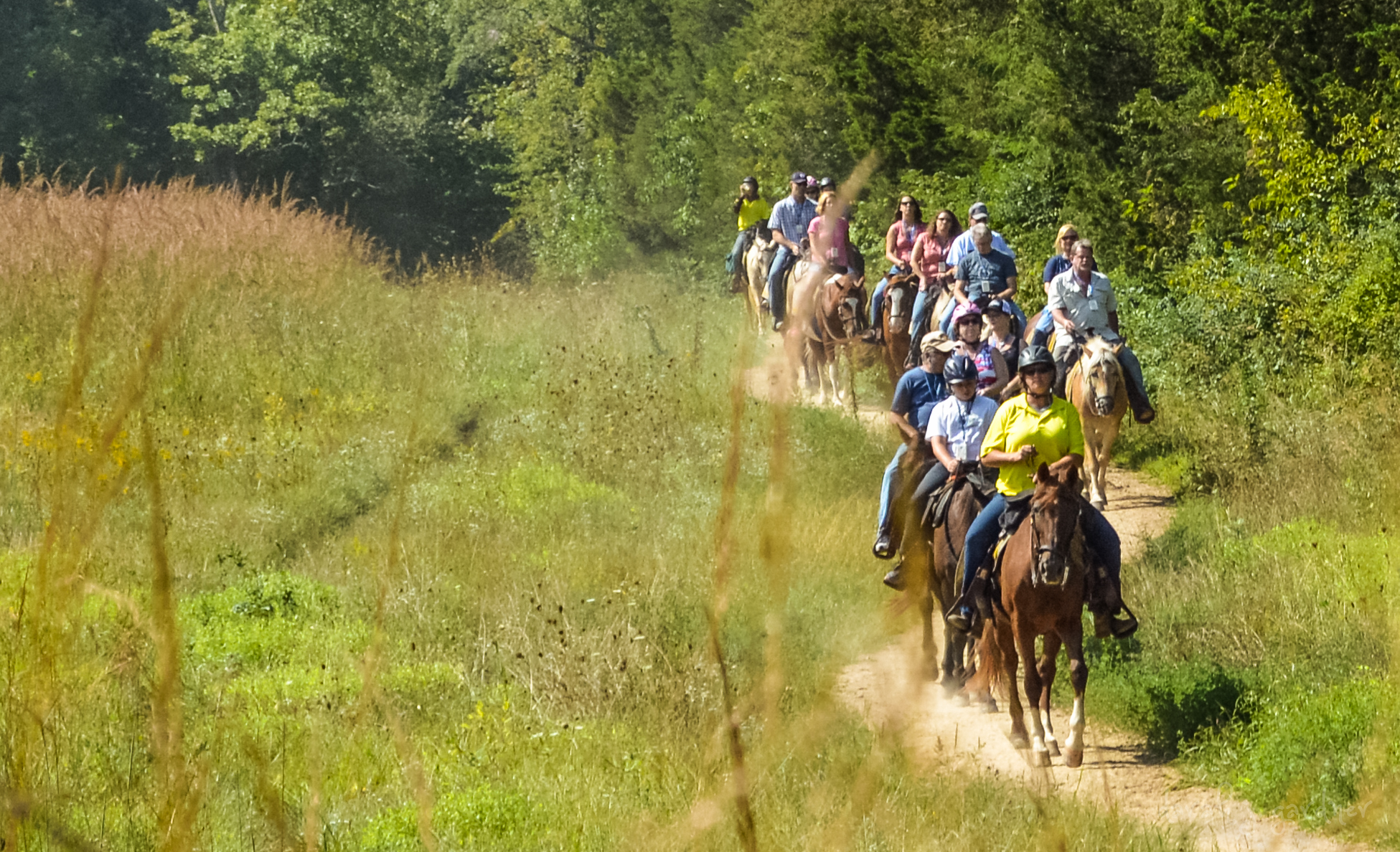 Gettysburg: Licensed Guided Battlefield Horseback Tour – Gettysburg, Pennsylvania