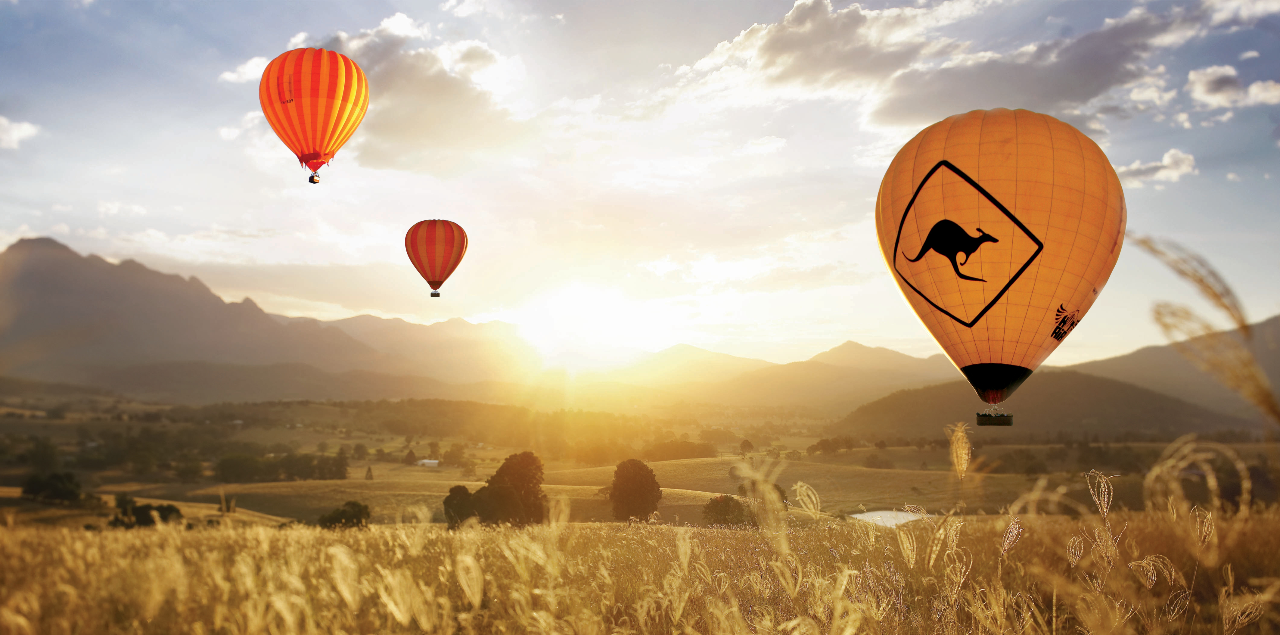 Gold Coast: Hot Air Balloon Flight, Sparkling Wine & Photos – Canungra, Australia