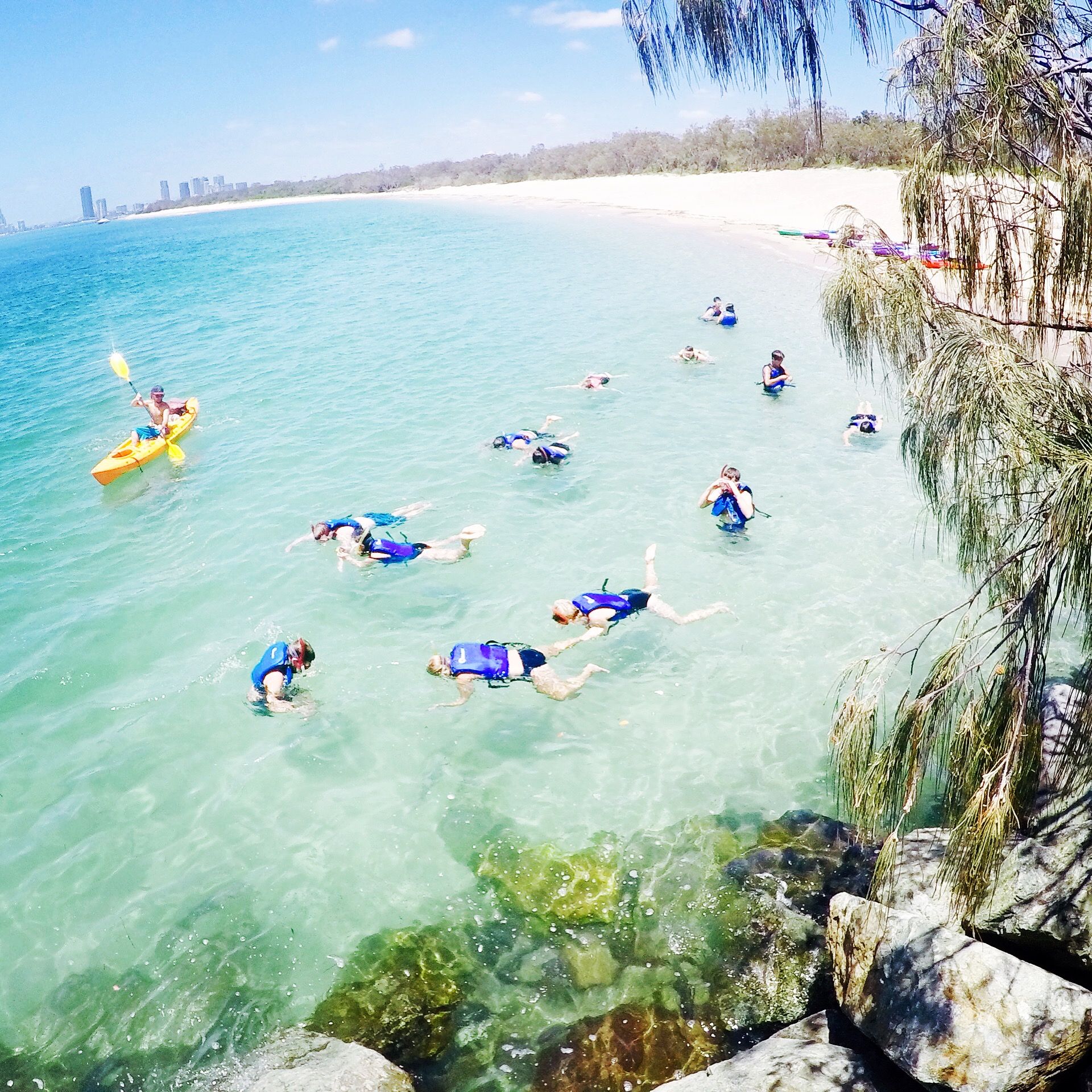 Gold Coast: Kayaking & Snorkelling Tour with Fish Feeding – Gold Coast, Australia