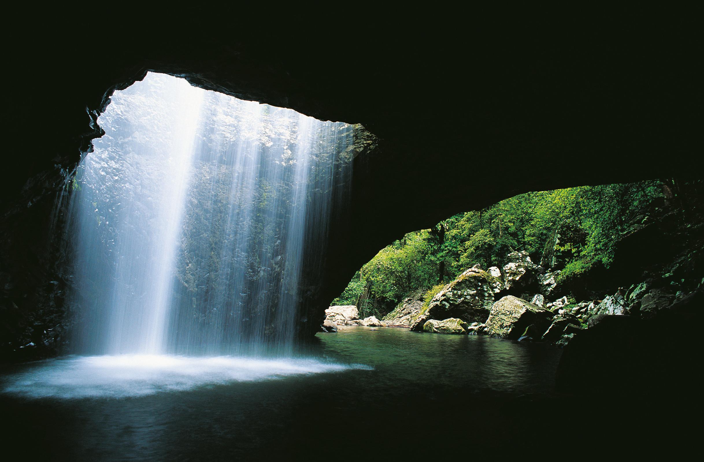 Gold Coast: Natural Bridge & Springbrook Waterfalls Tour – Gold Coast, Australia