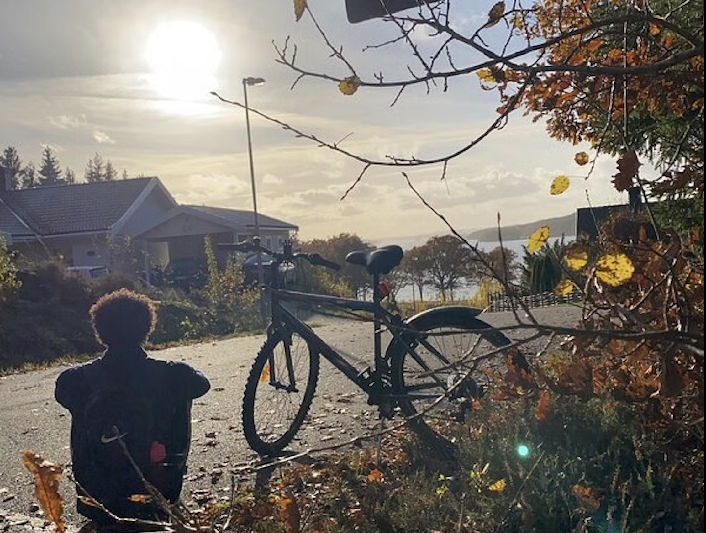 Gothenburg: Alingsås Private Bike Tour with Lunch – Alingsås, Sweden