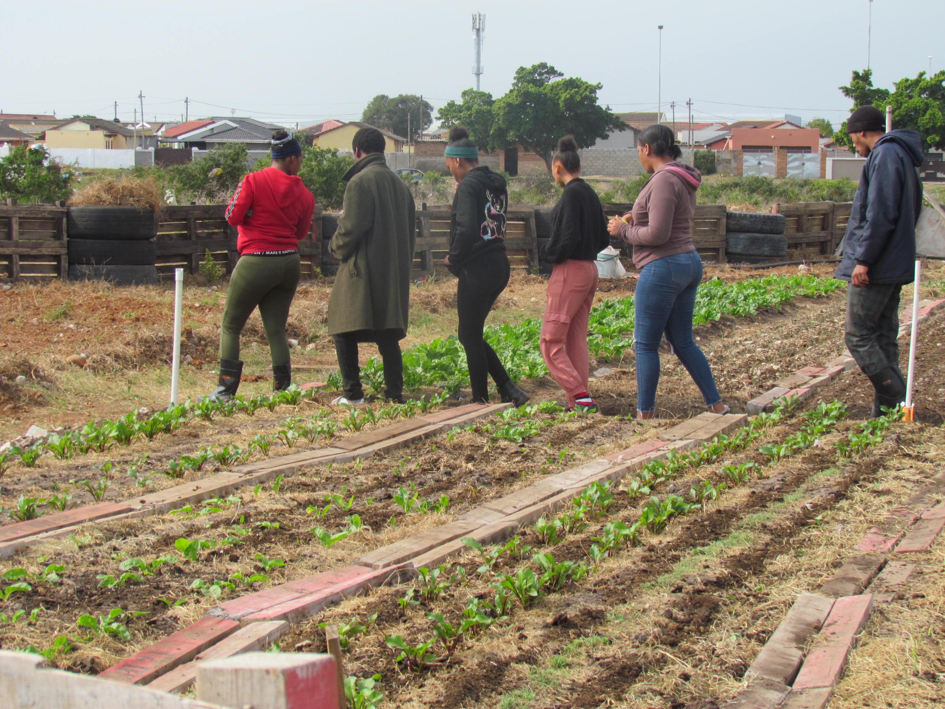 Gqeberha: Motherwell Township Guided Tour – Gqeberha, South Africa
