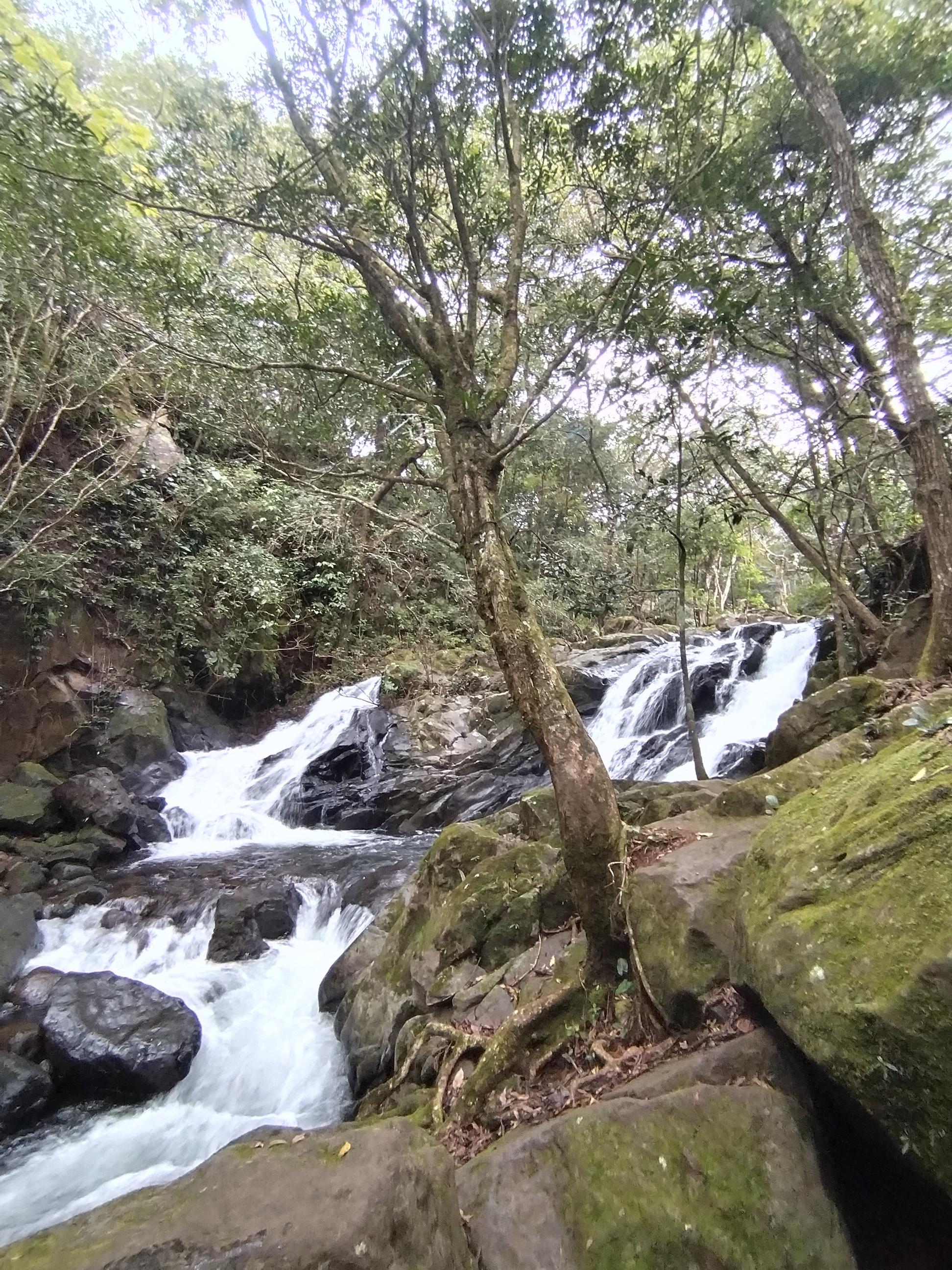 Guanacaste: Rincon de la Vieja, Sector Santa Maria Hike – Rincon de la Vieja National Park, Costa Rica