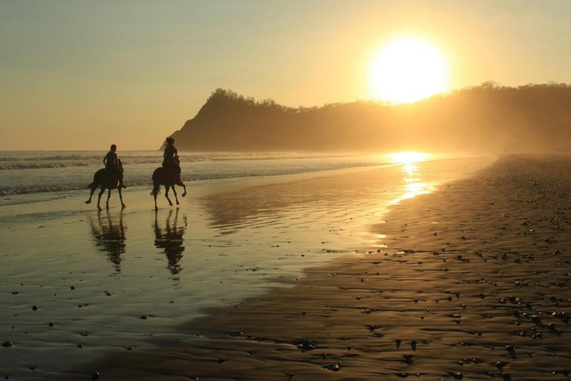 Guanacaste: Safari & Buenavista Beach Horse Riding Tour – Guanacaste, Costa Rica