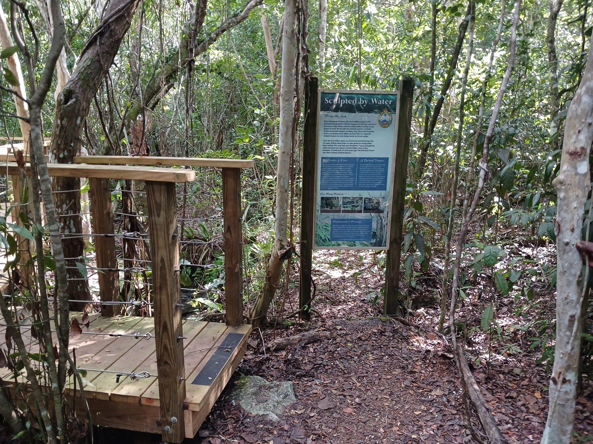 Guided Primeval Nature Walk Tour – Nassau, Bahamas