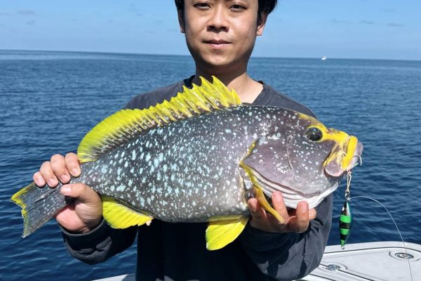 Guided fishing trips in Maldives – Maldives