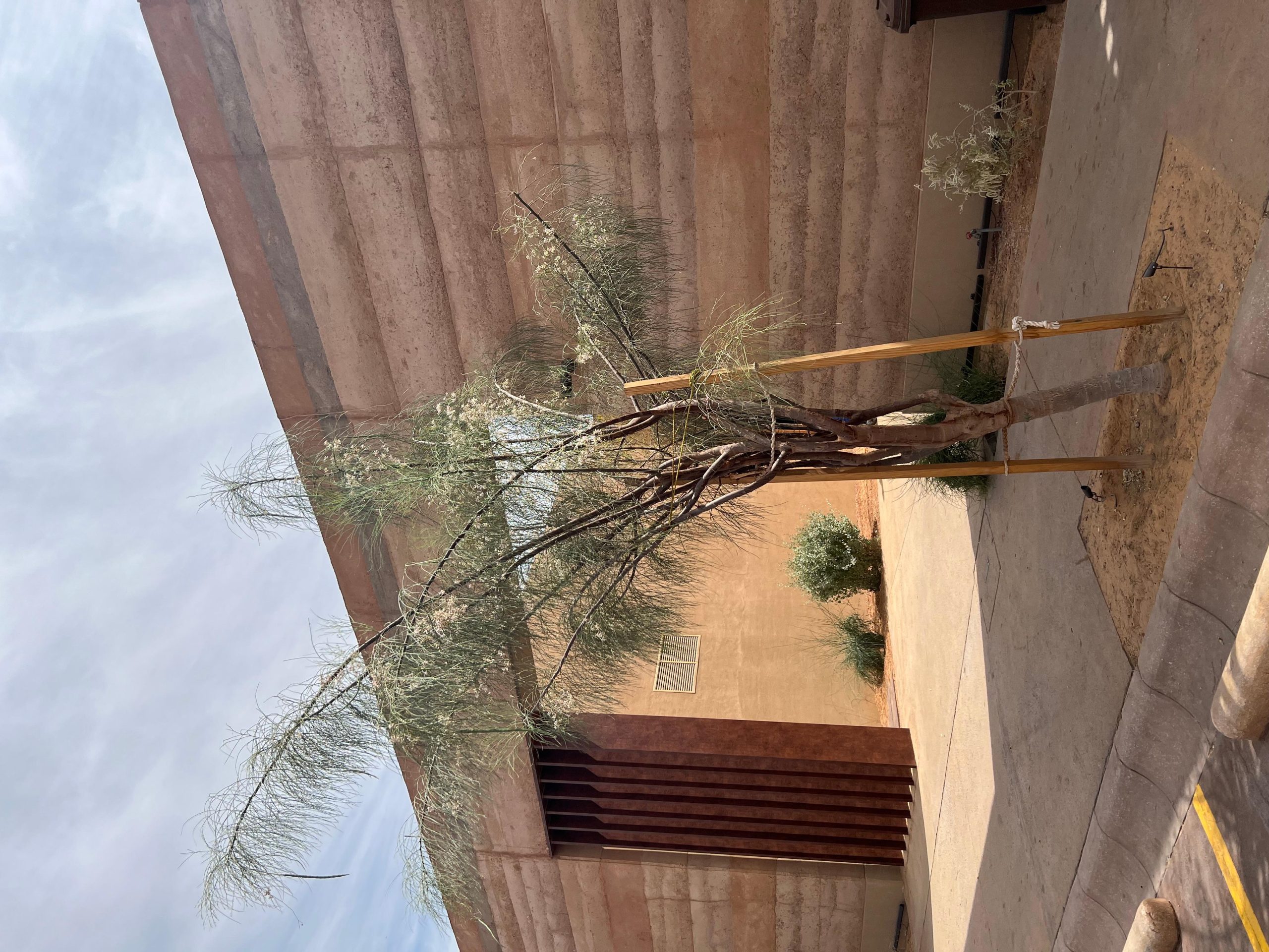 Hail: 2-Day Rammed Earth Workshop, Dome Stay, & Desert Hike – Saudi Arabia