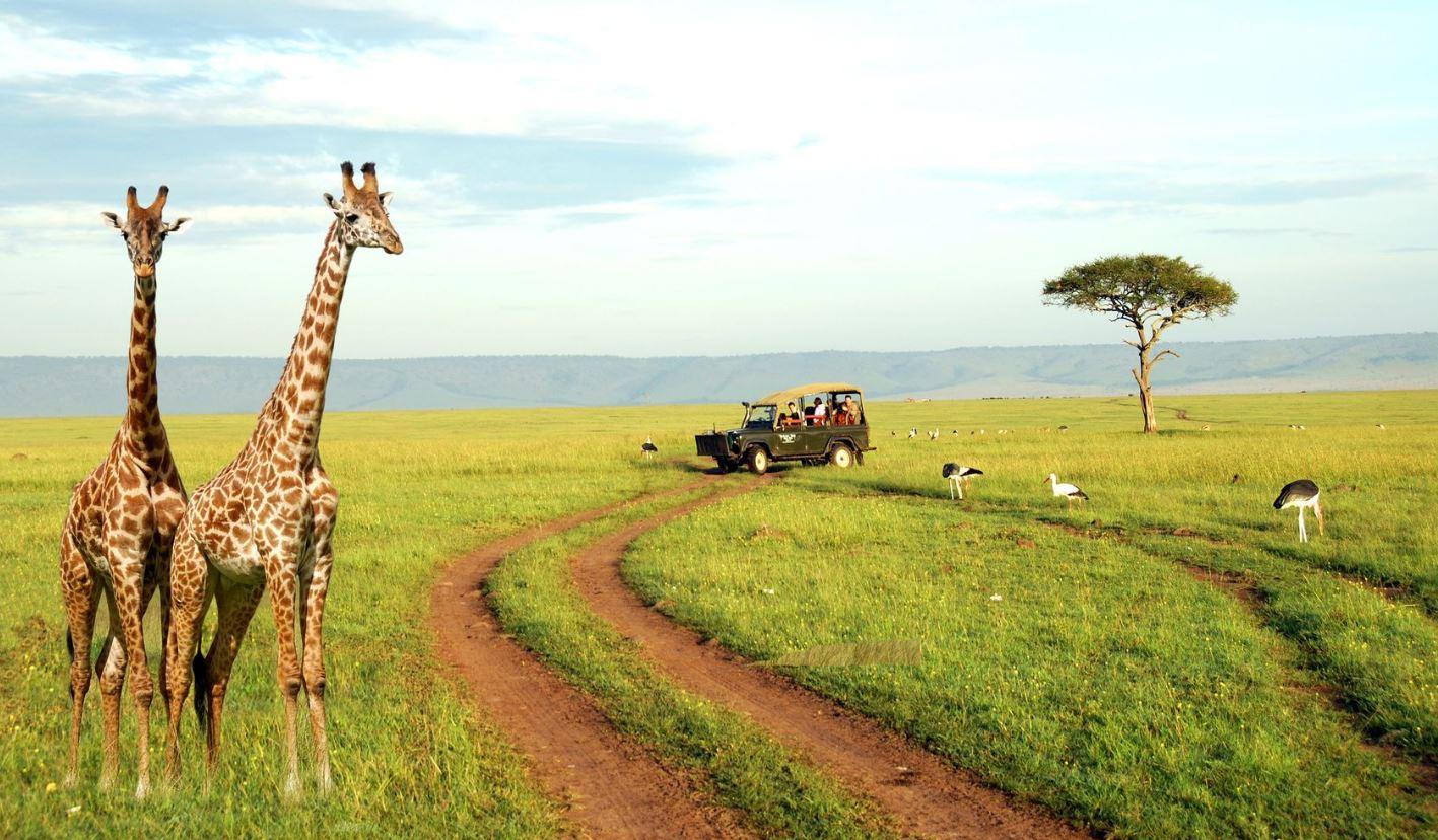 Half Day Tala Game Reserve & Natal Park from Durban – Natal Lion Park, South Africa