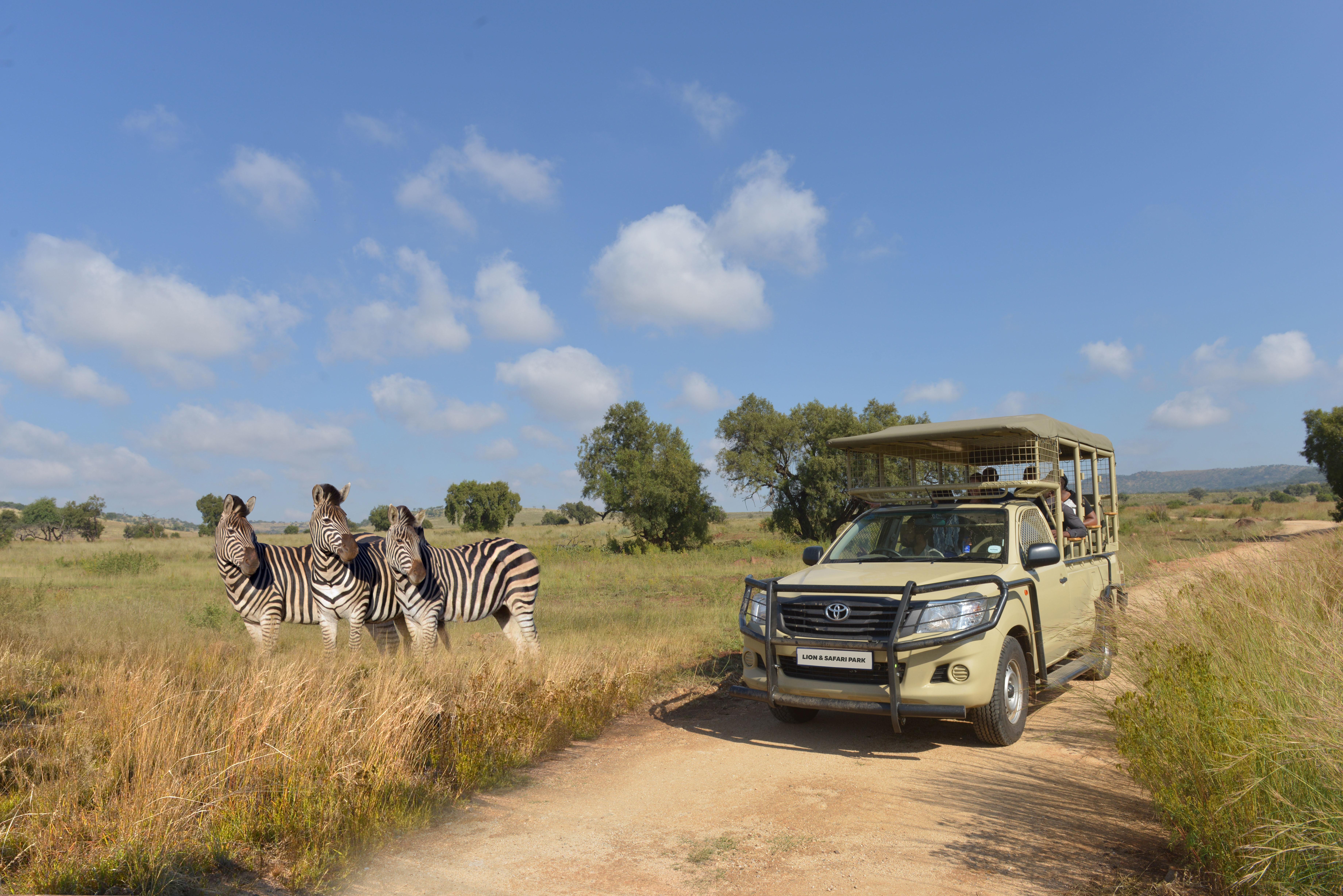 Hartbeespoort: Lion and Safari Park Tour – Hartbeespoort, South Africa