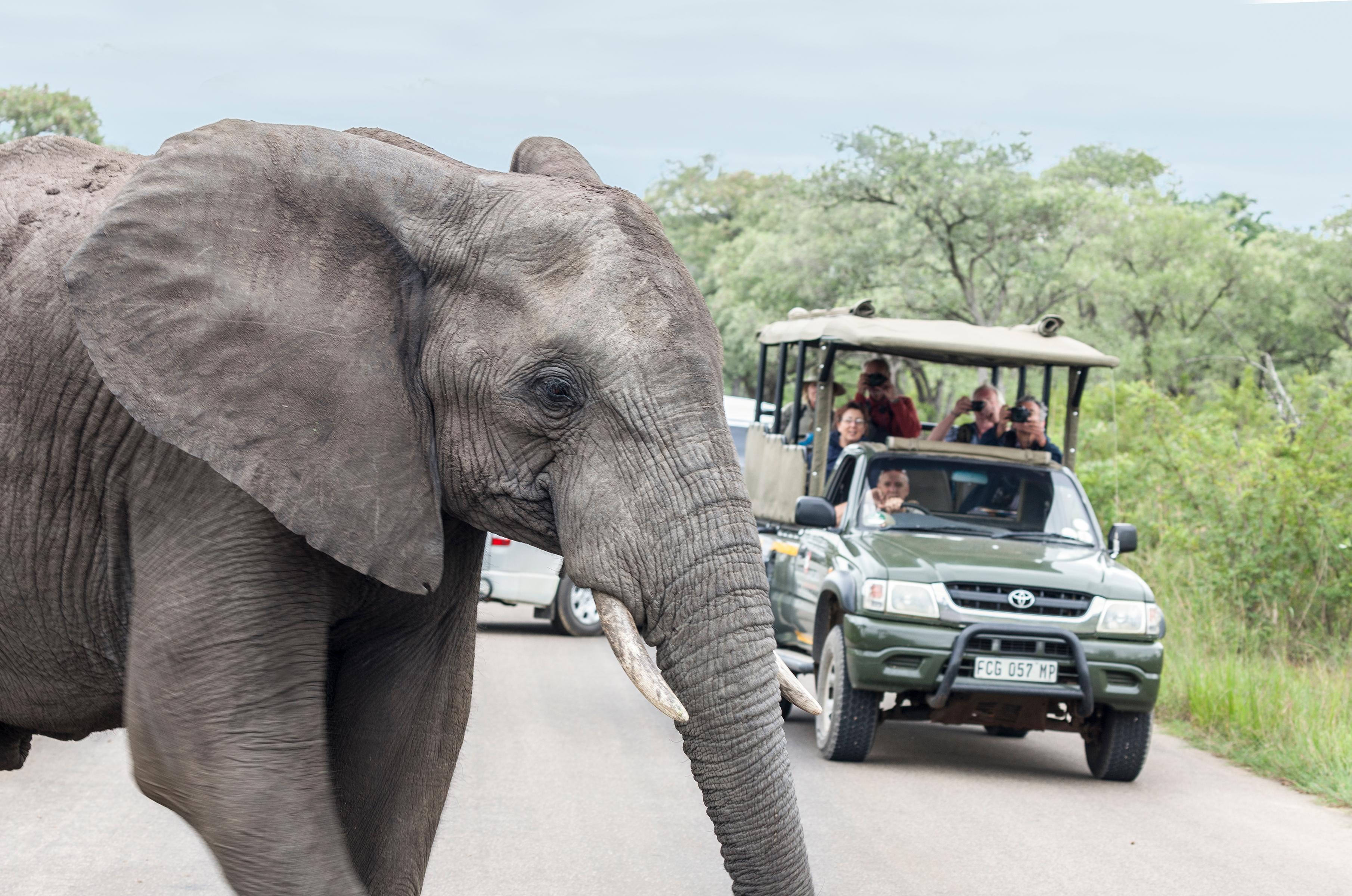 Hazyview: Kruger Park Safari & Panorama Route 2-Day Tour – Graskop, South Africa