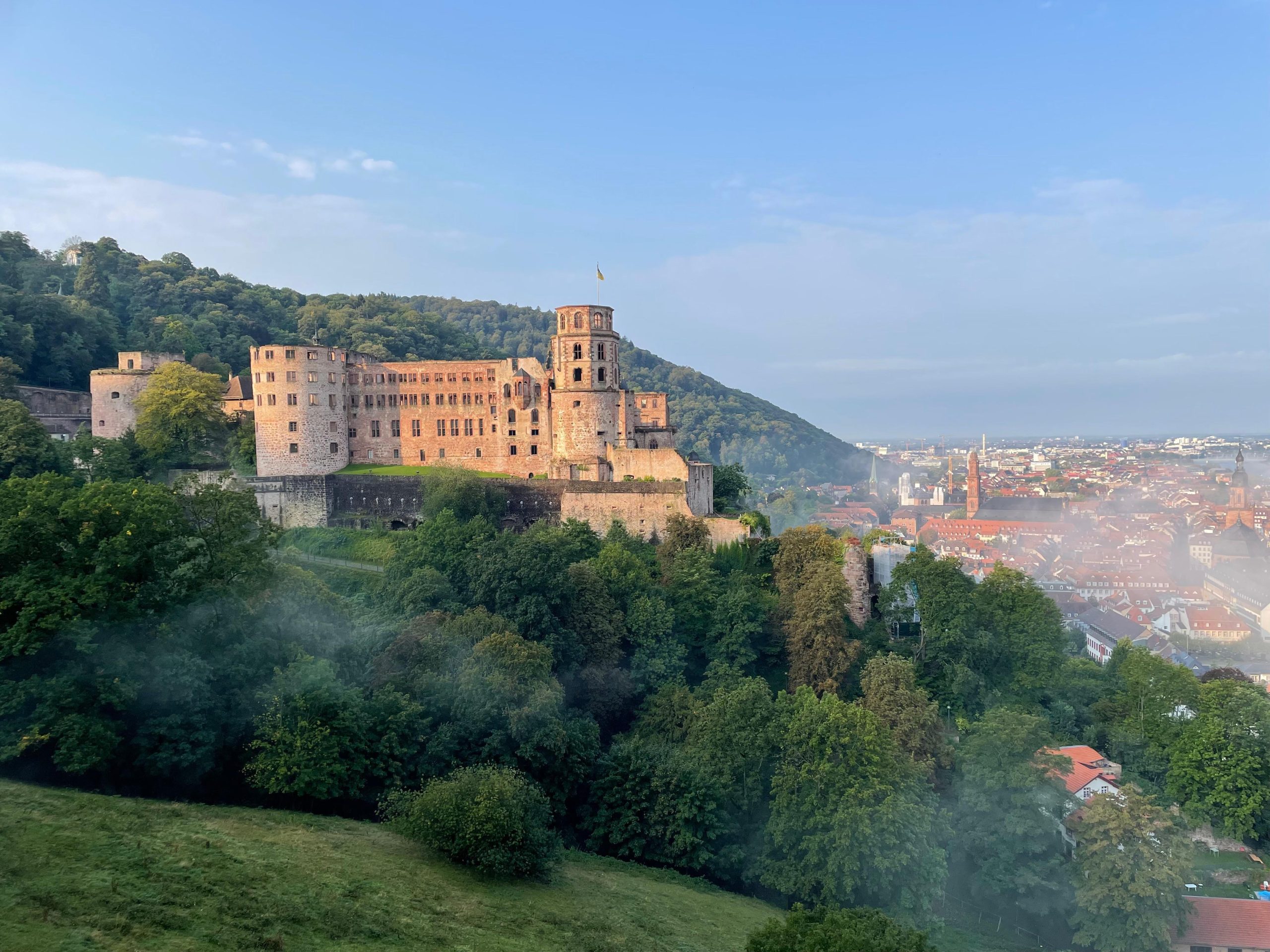Heidelberg: Discover Heidelberg Castle – experience history up close – Heidelberg, Germany