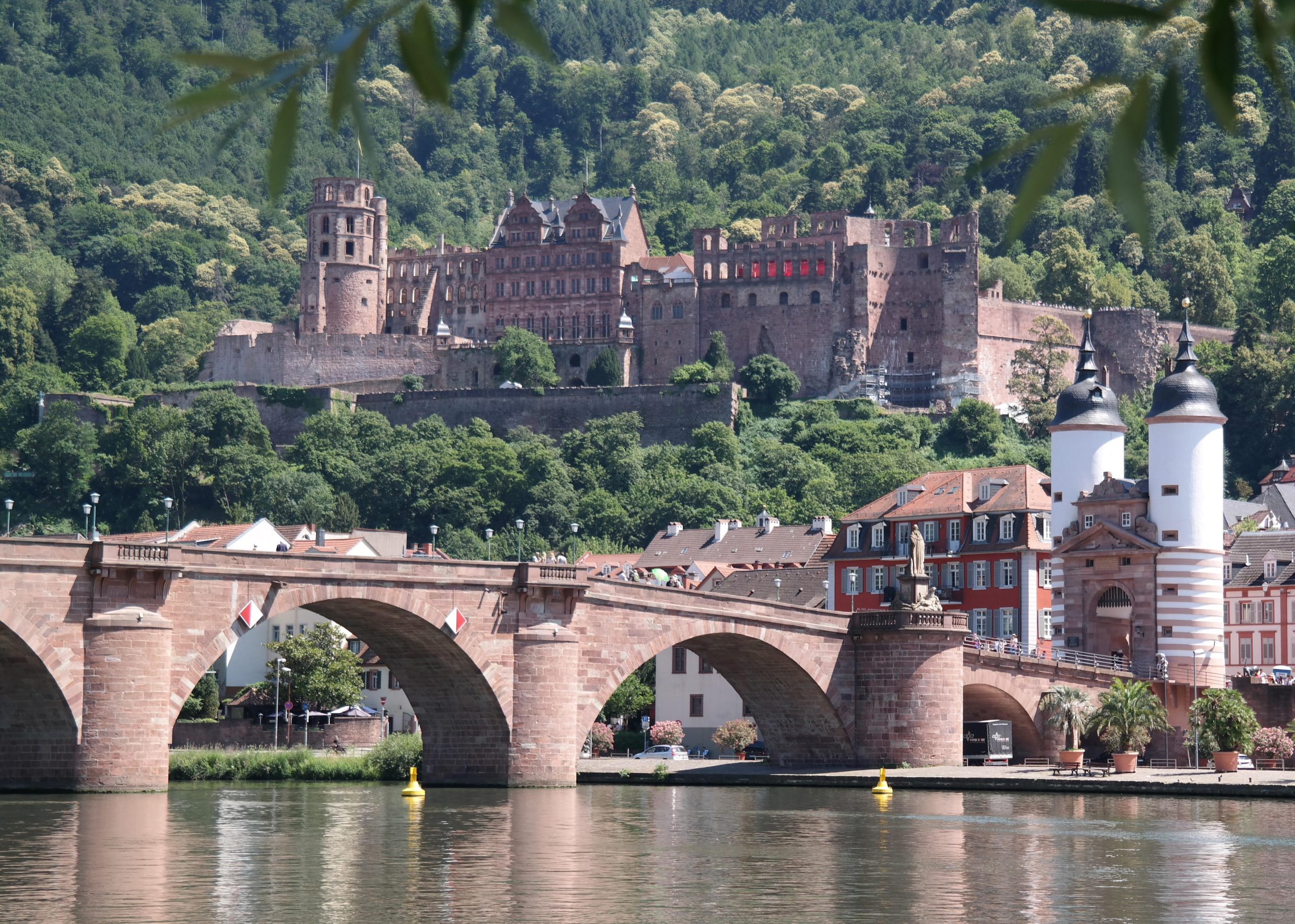 Heidelberg: Experience our history 1.5-hour walking tour through the old town – Heidelberg, Germany