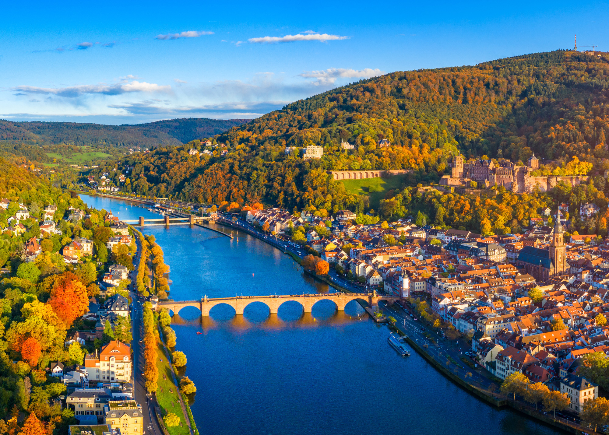 Heidelberg: Neckar River Sightseeing Boat Tour with Drink – Neckar River, Germany