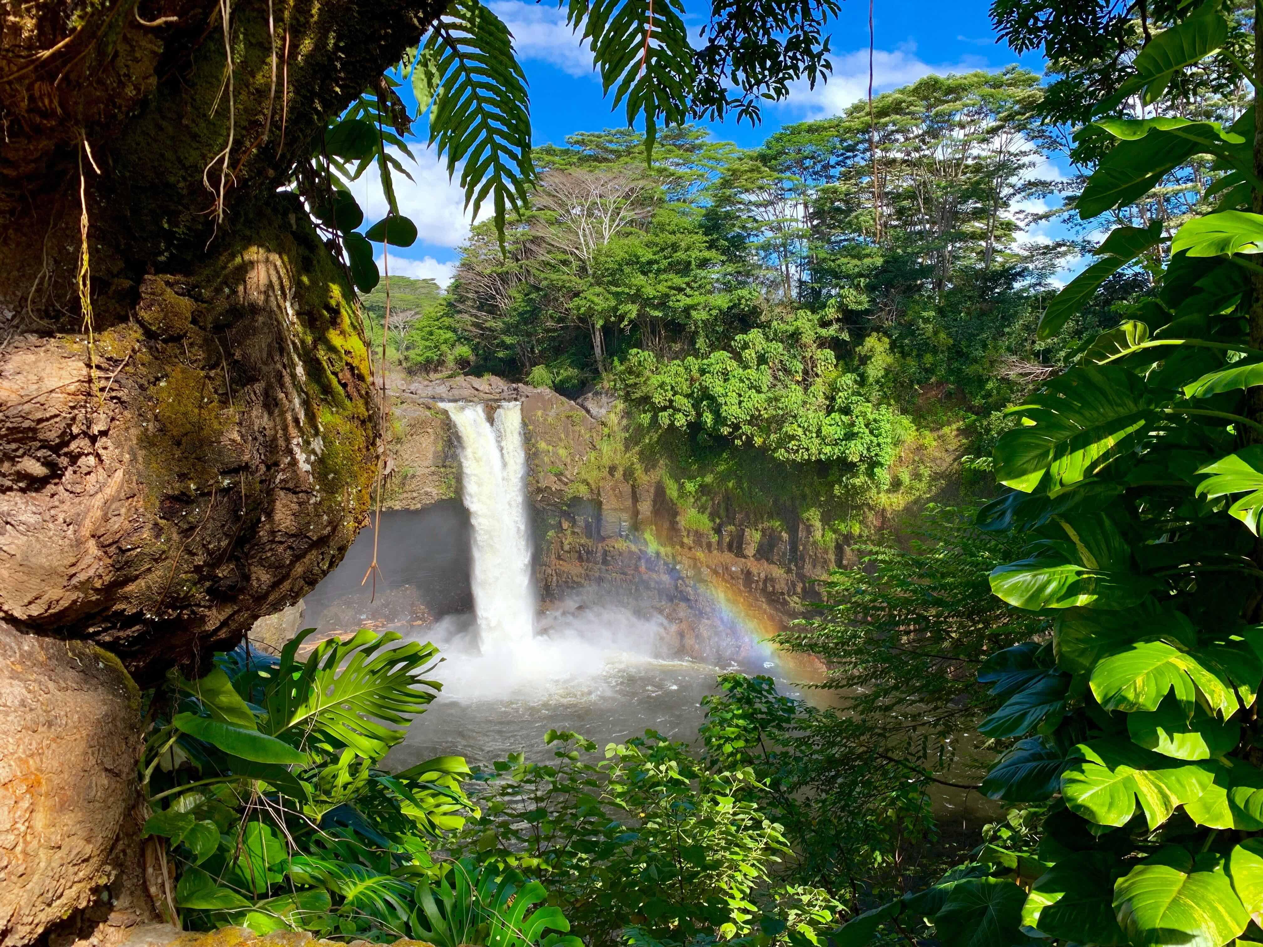 Hilo: Hawaii Volcanoes National Park and Hilo Highlights … – Volcano Village, Hawaii