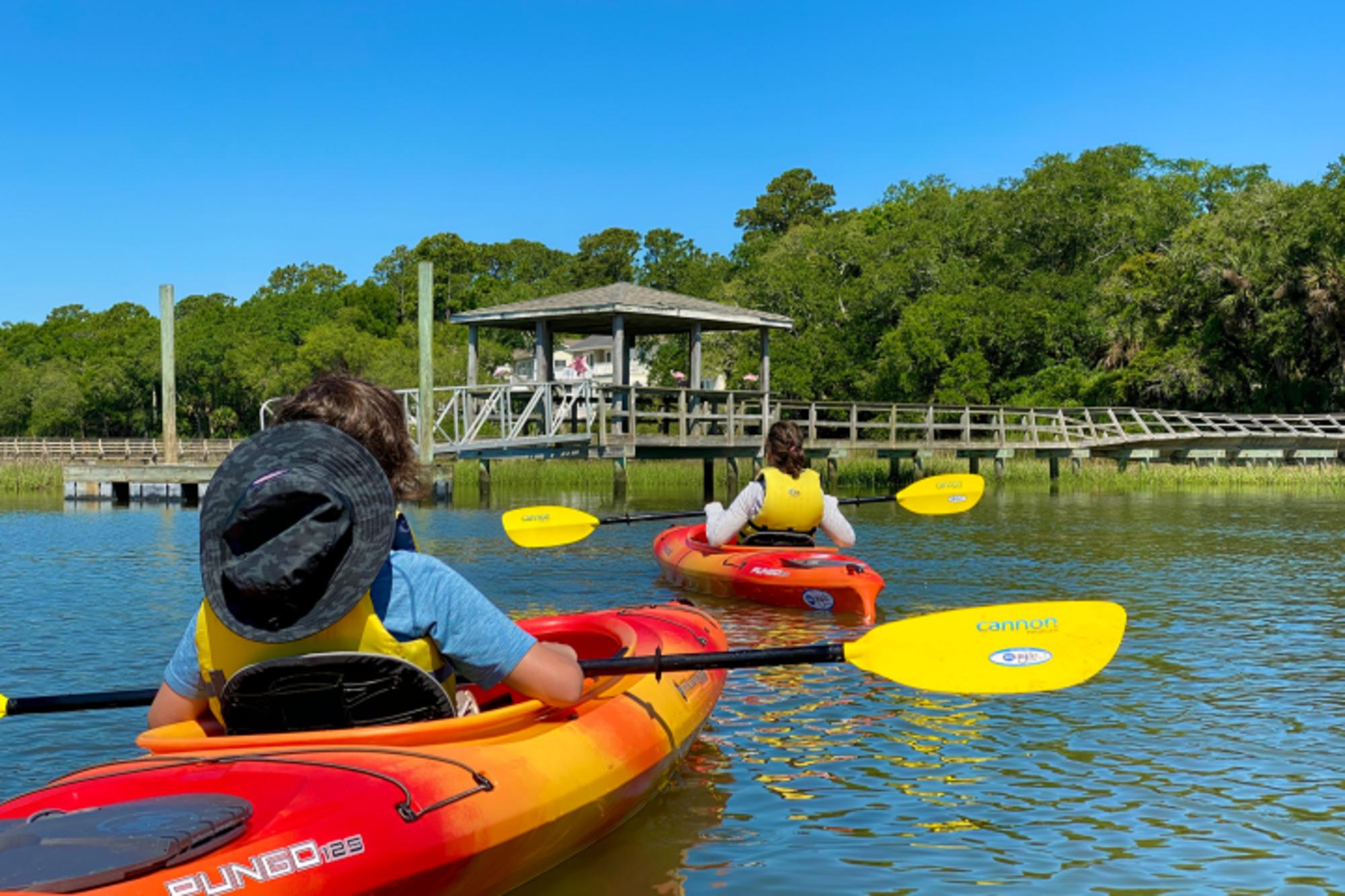 Hilton Head: Guided Kayak Nature Tour with Wildlife Spotting – Hilton Head Island, South Carolina