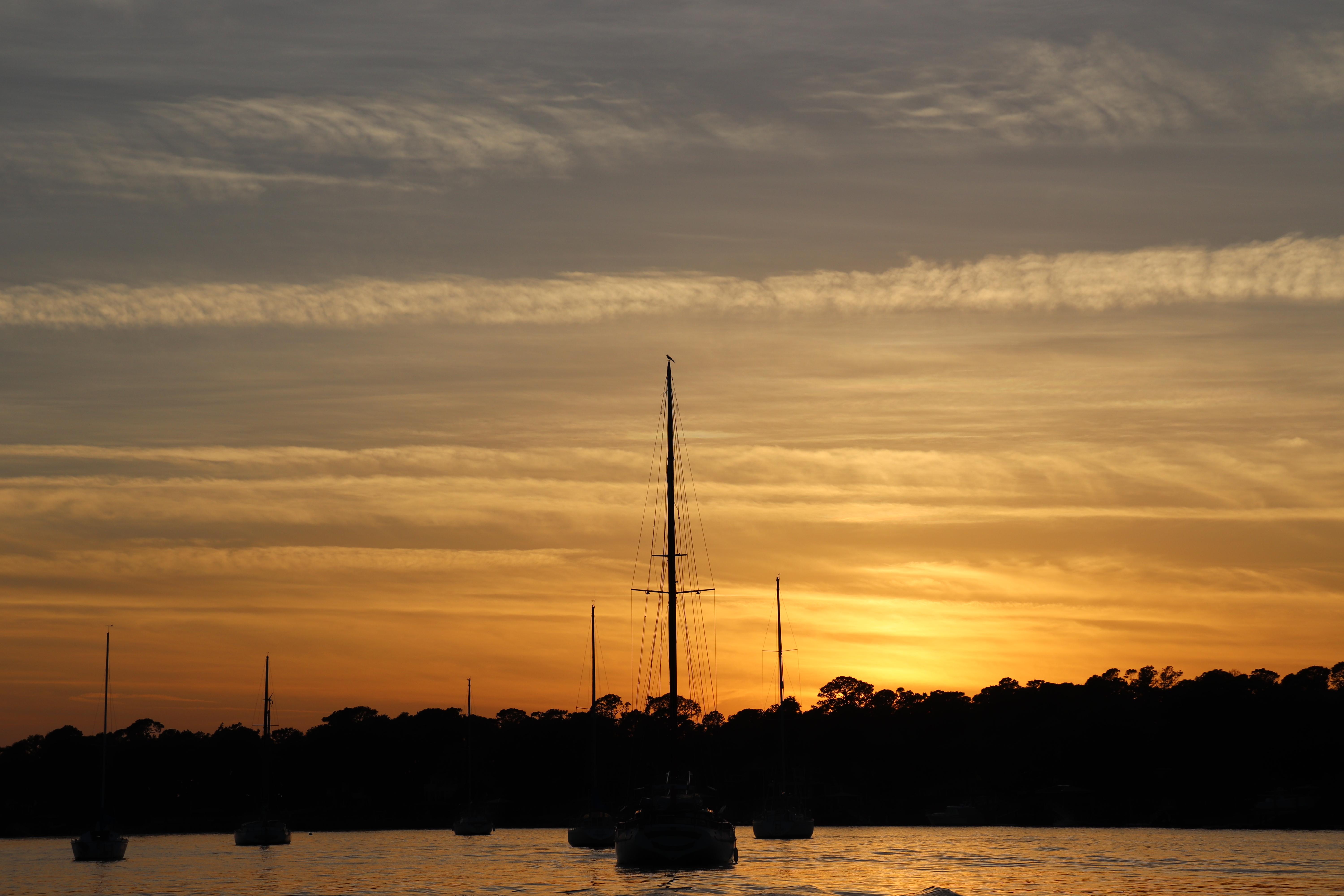 Hilton Head Island: Sunset Dolphin Watching Cruise – Hilton Head Island, South Carolina