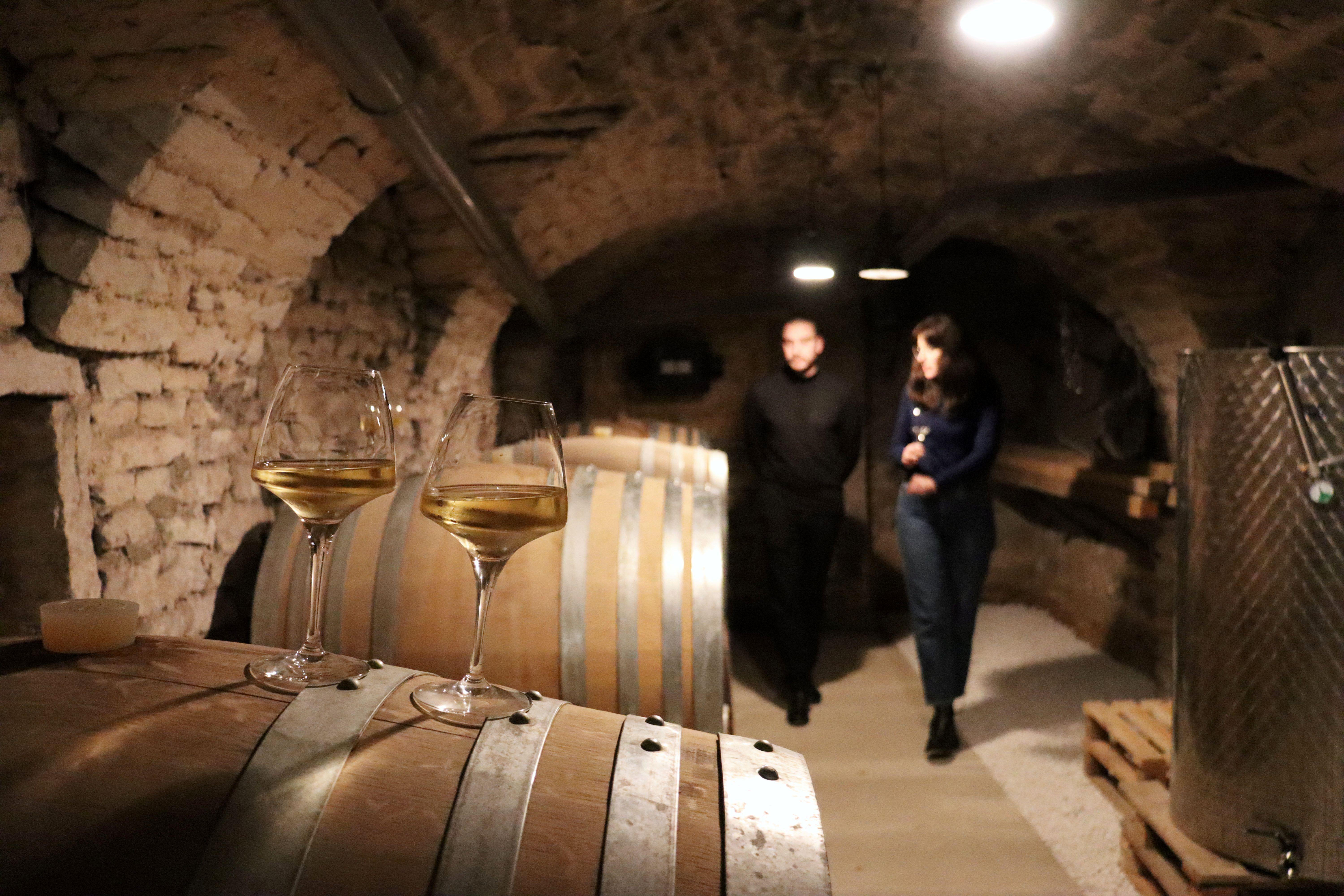 Historic Center of Dijon : Discovery Tasting Wine Burgundy – Dijon, France
